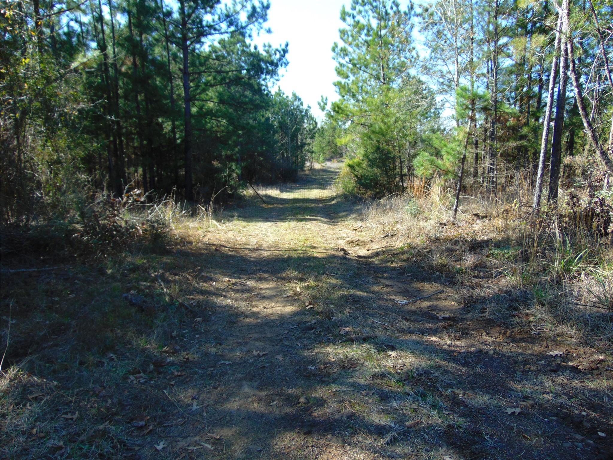 00 Cr 403 Property Photo 10