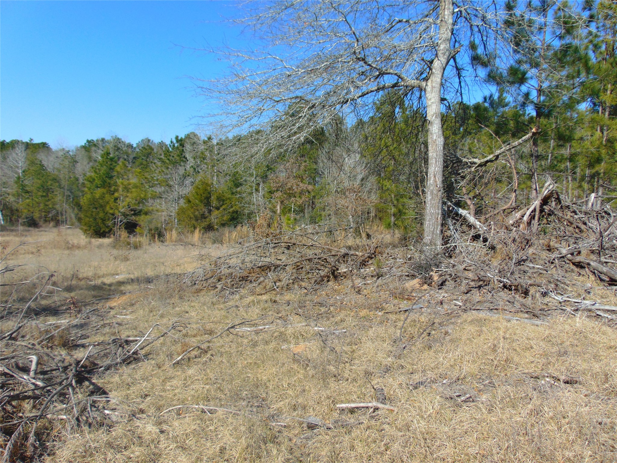 00 Cr 403 Property Photo 11
