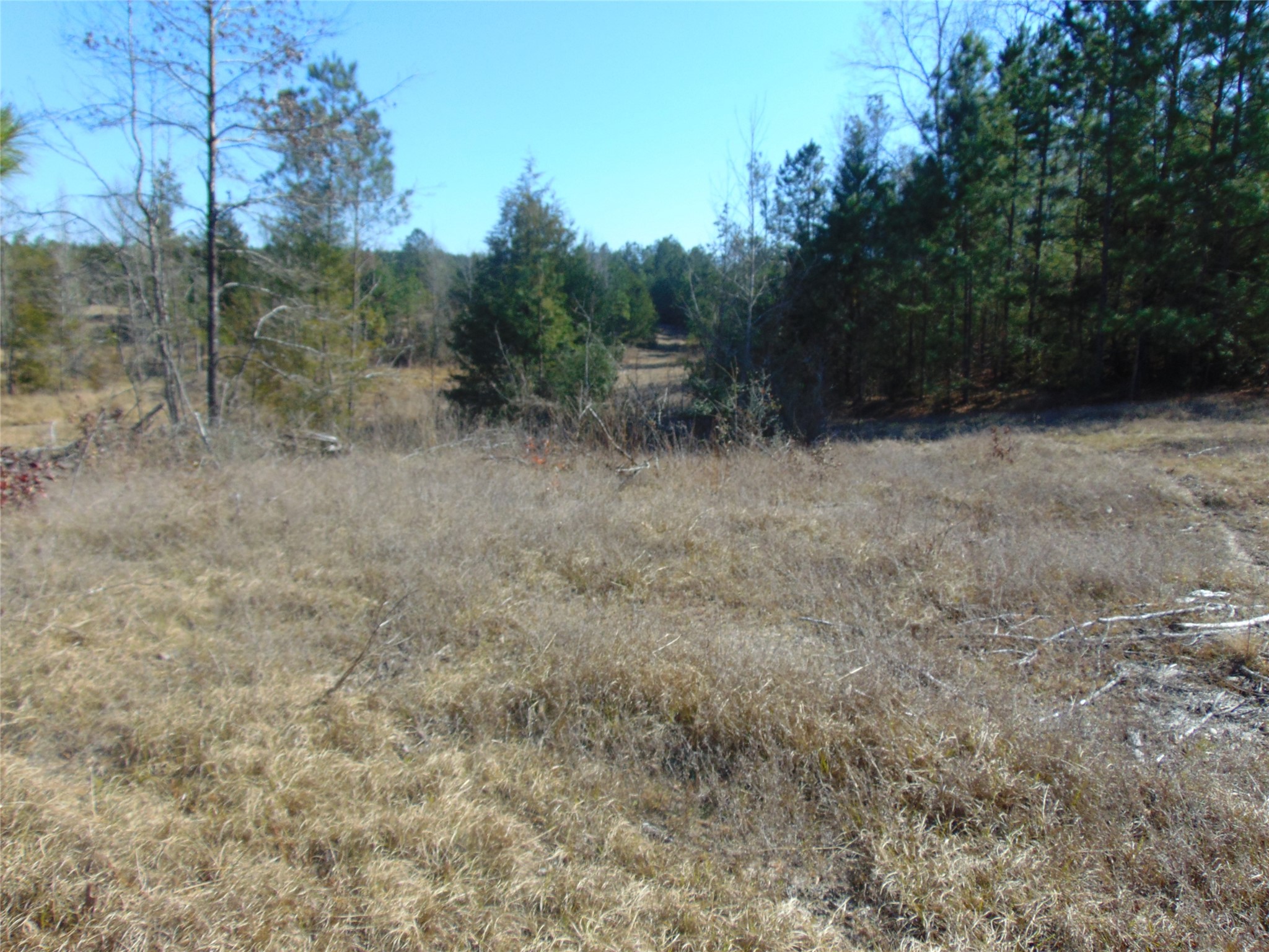 00 Cr 403 Property Photo 12