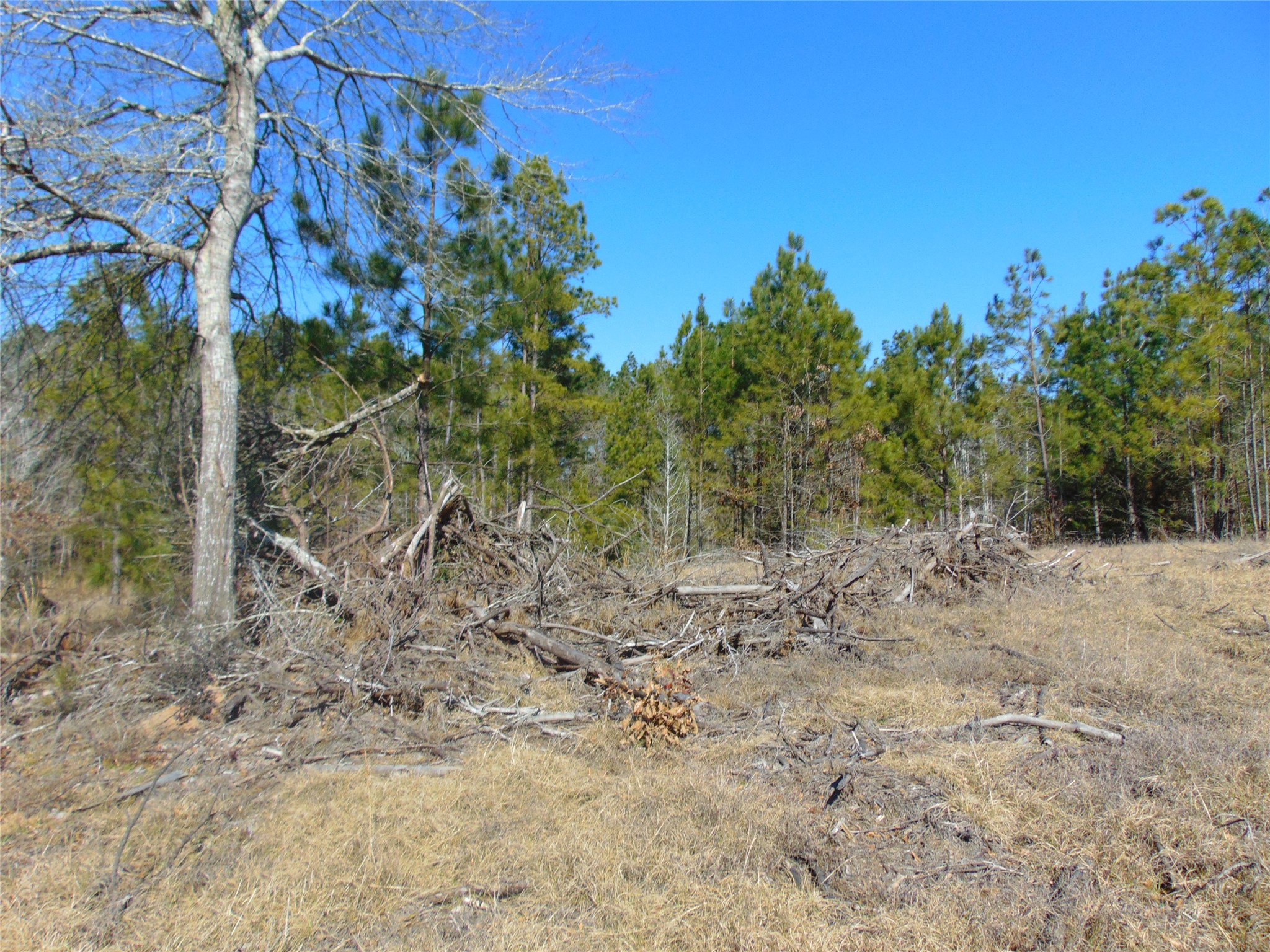 00 Cr 403 Property Photo 13