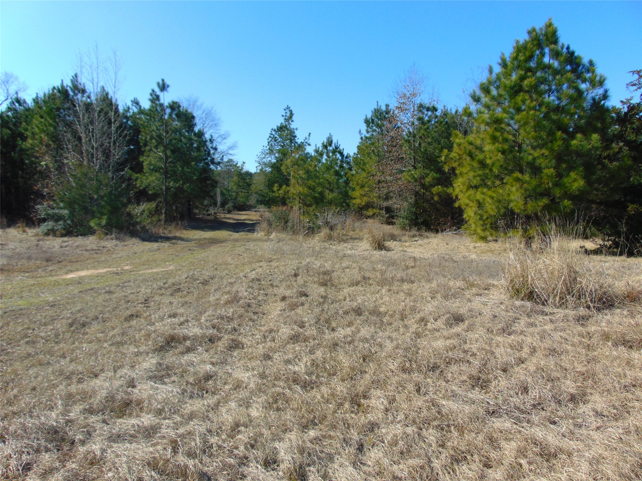 00 Cr 403 Property Photo 15