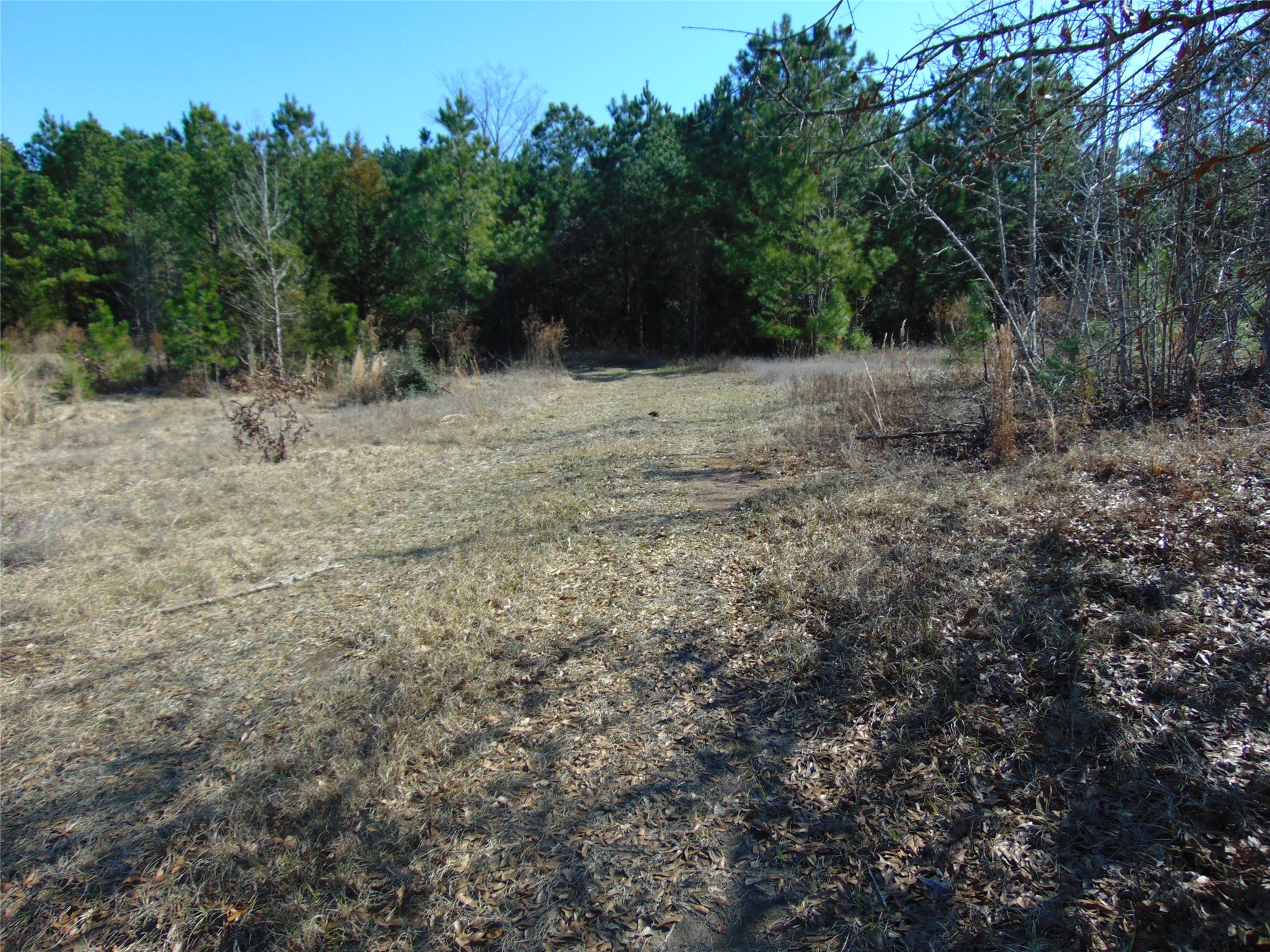 00 Cr 403 Property Photo 16