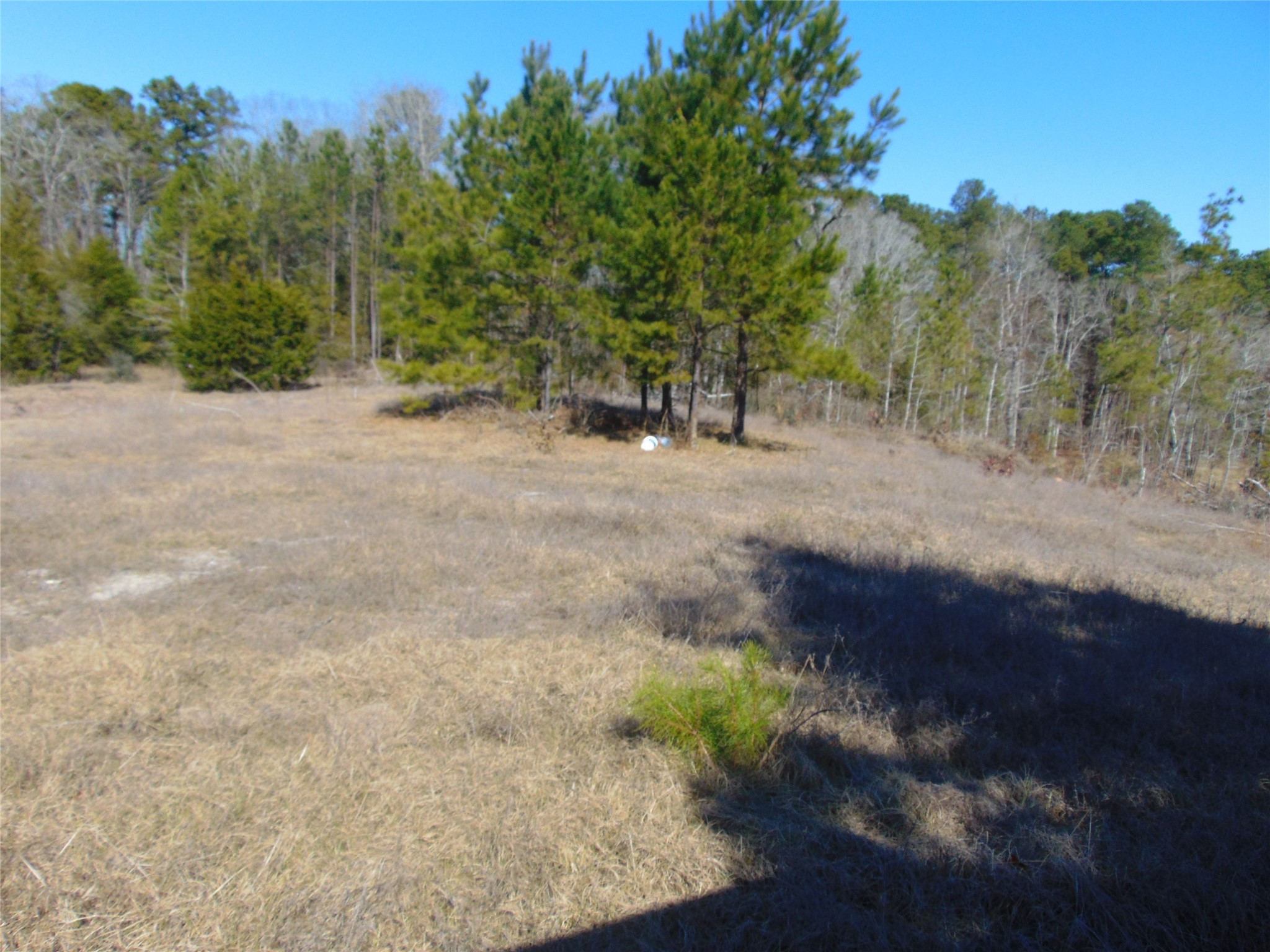 00 Cr 403 Property Photo 21