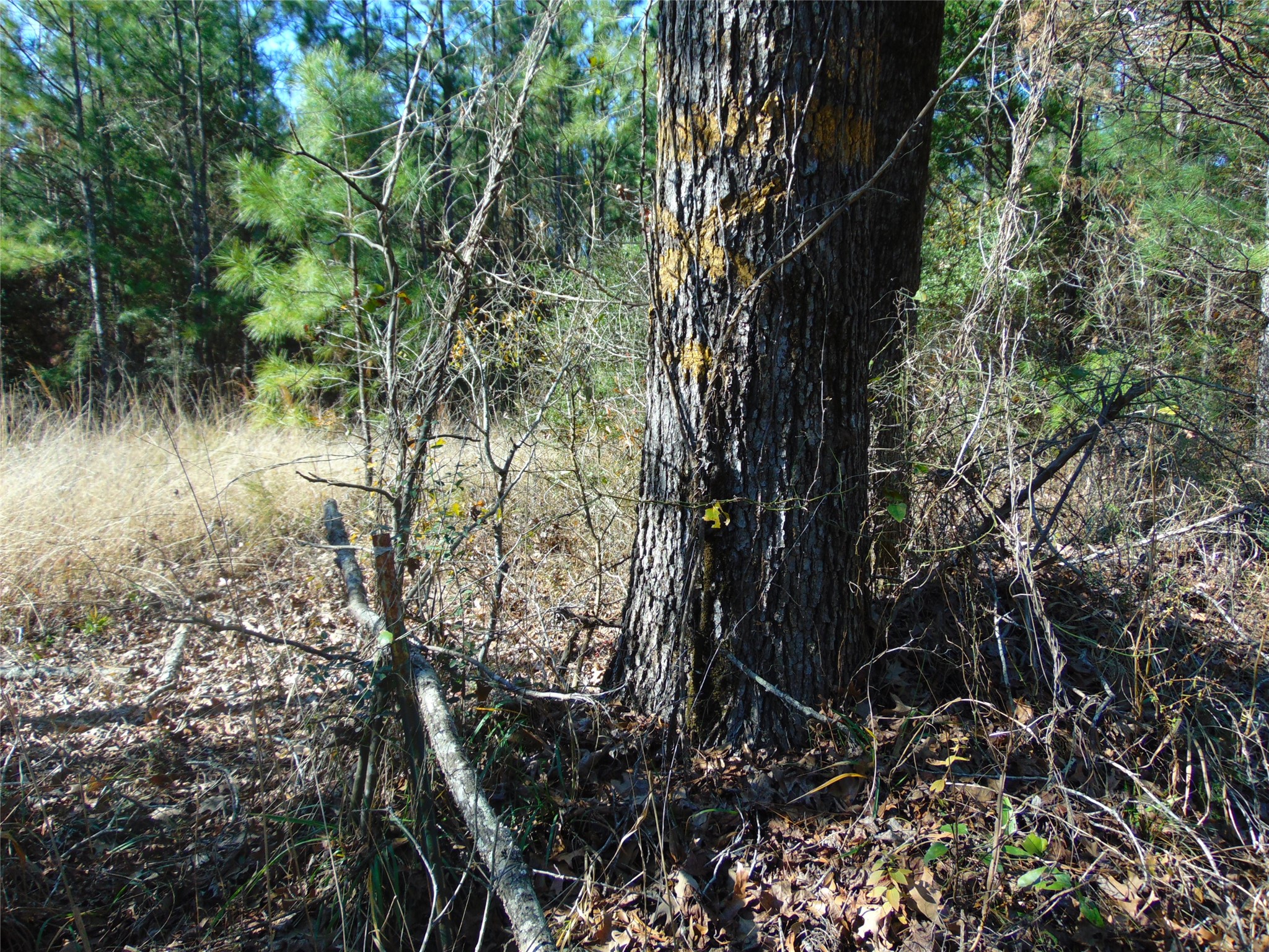 00 Cr 403 Property Photo 24