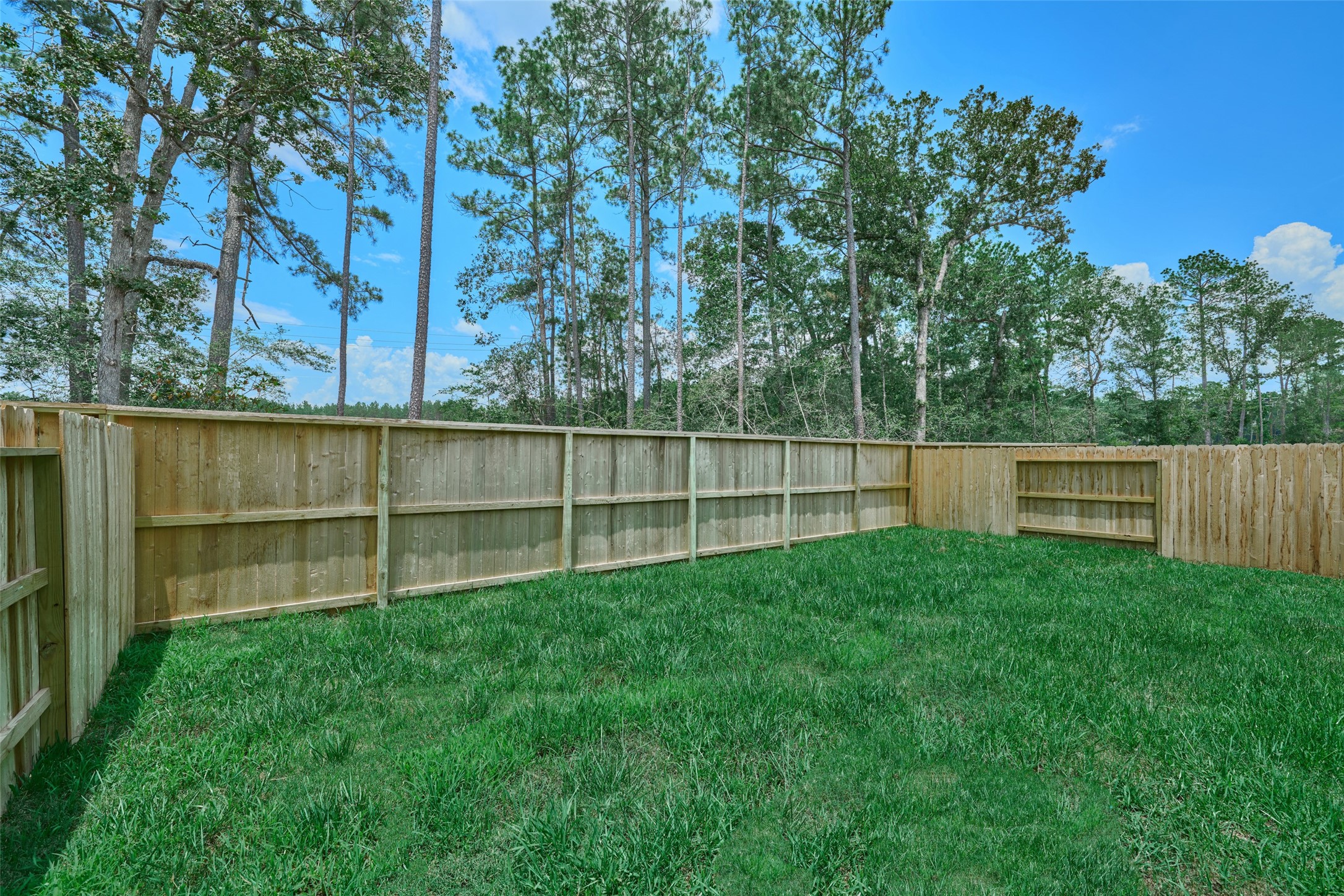 3755 Solanum Drive Property Photo 31