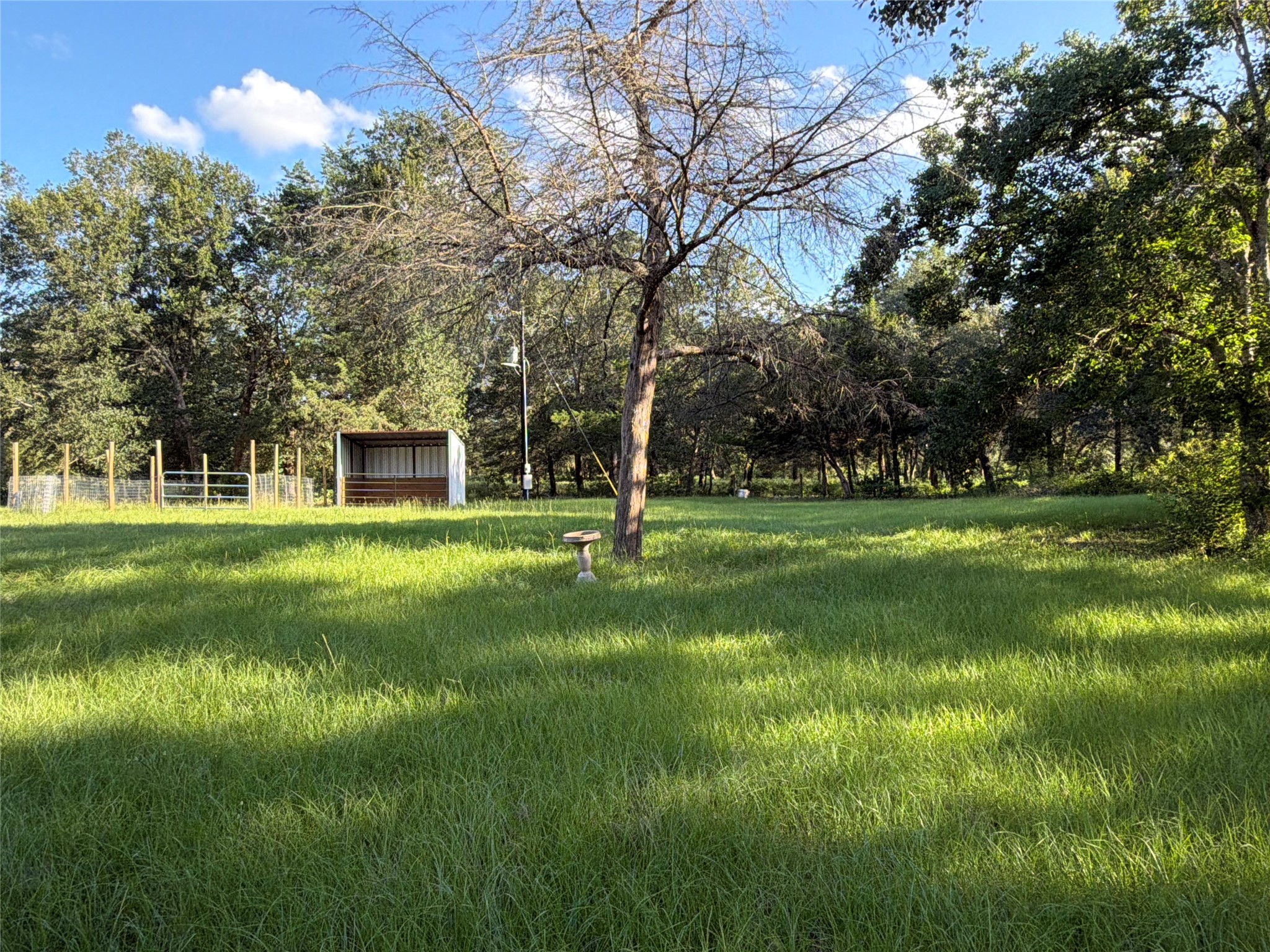 26011 Bernard Road Property Photo 2