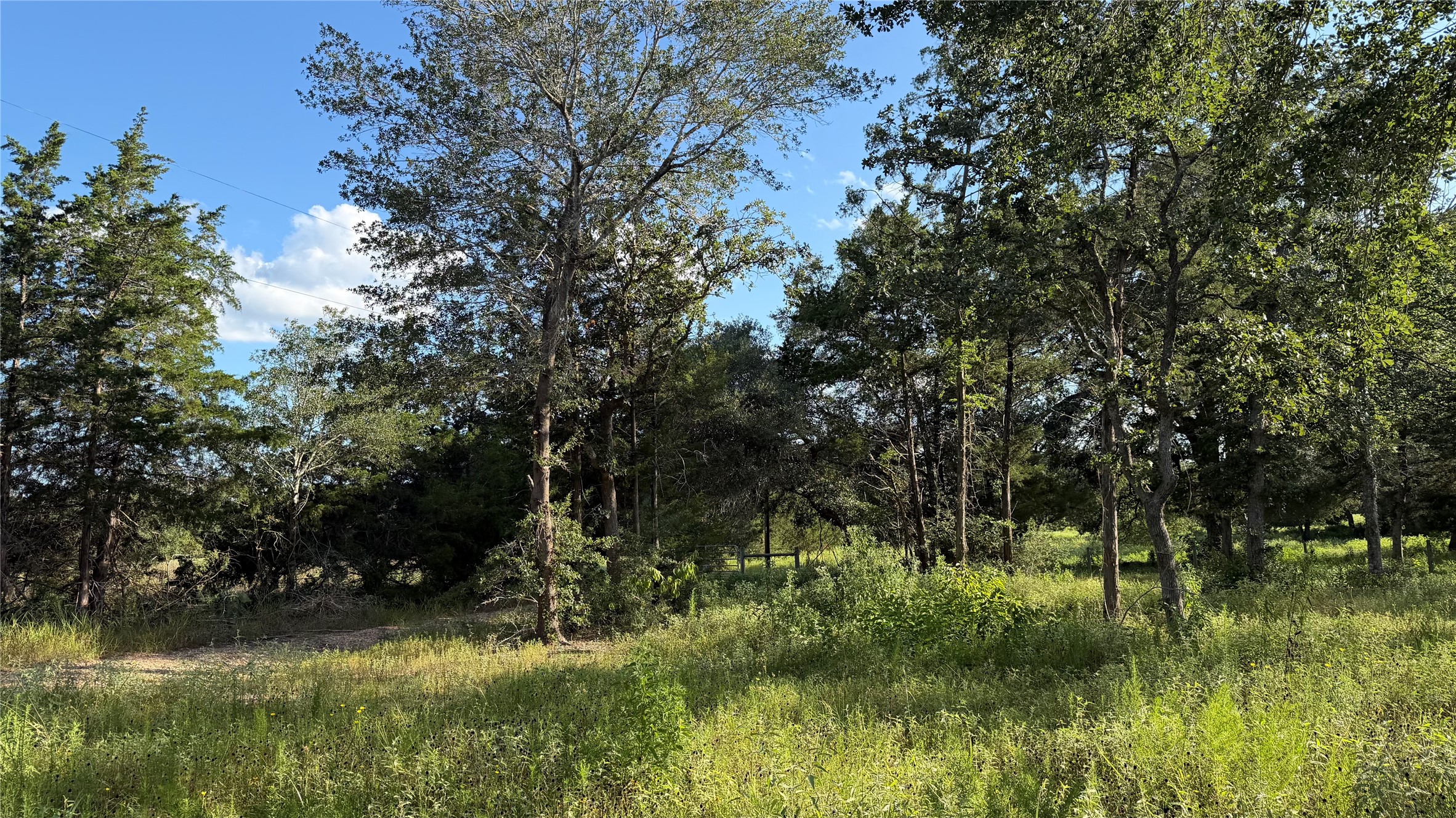 26011 Bernard Road Property Photo 18