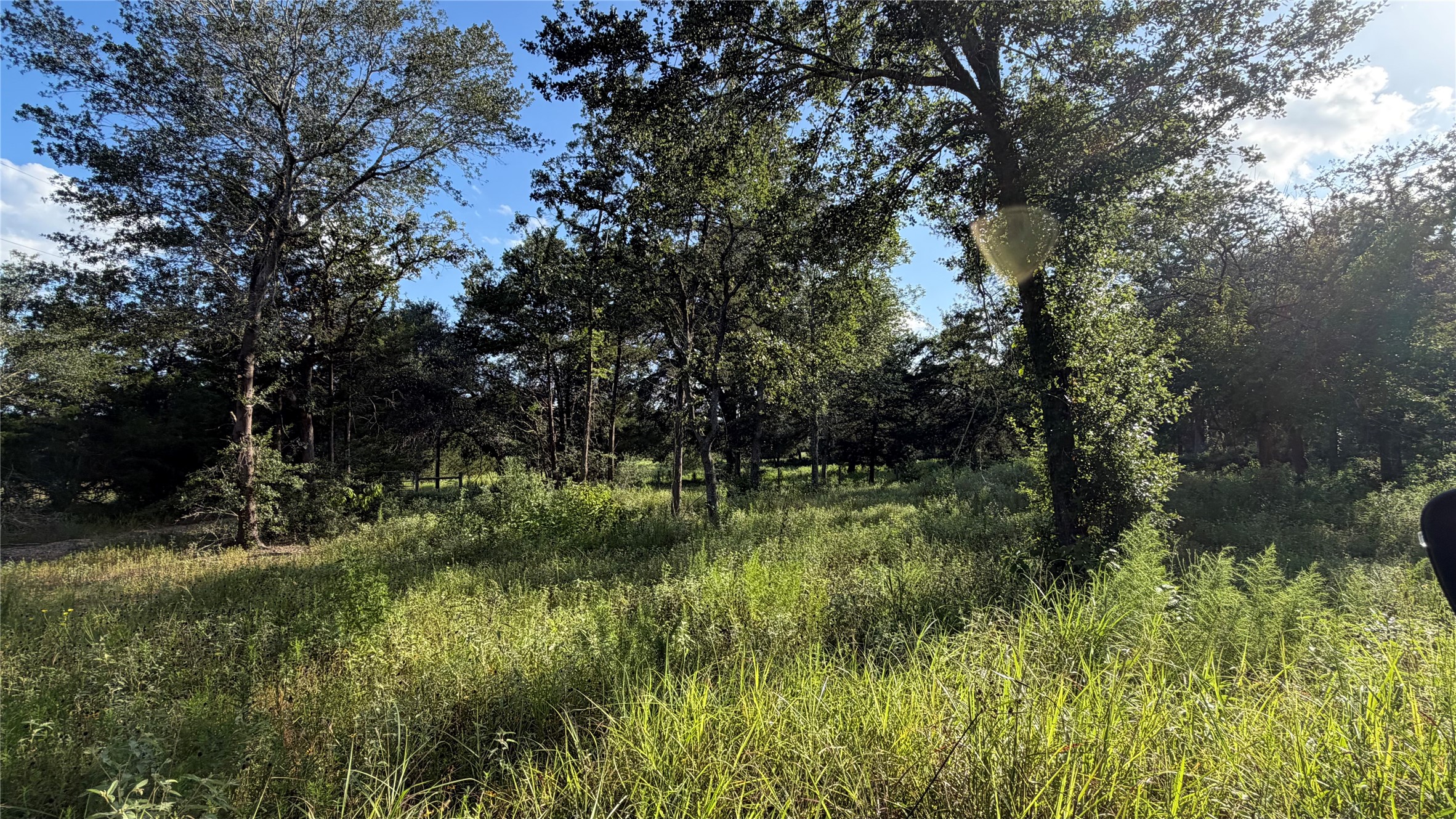 26011 Bernard Road Property Photo 19