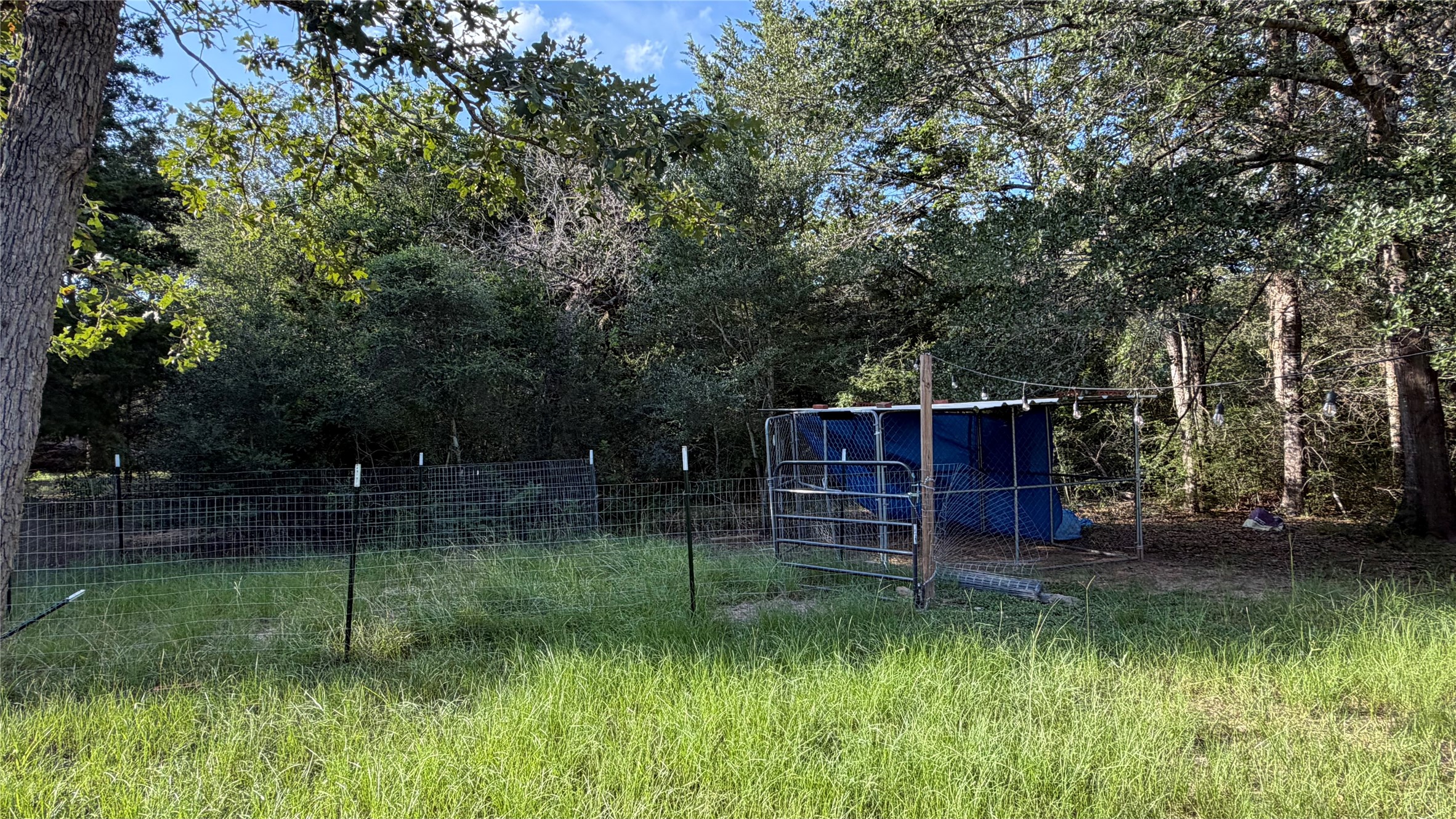 26011 Bernard Road Property Photo 23