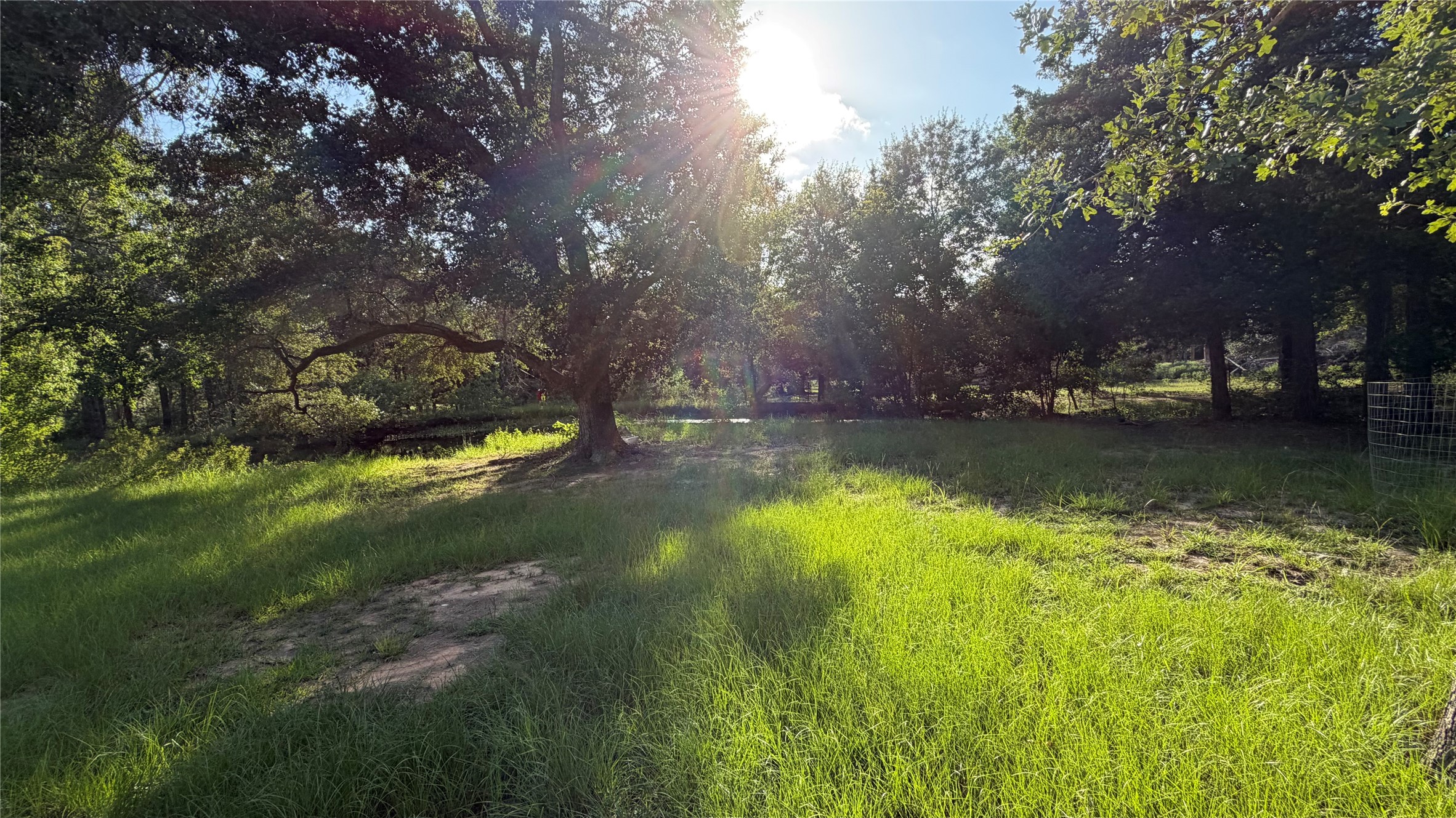 26011 Bernard Road Property Photo 24