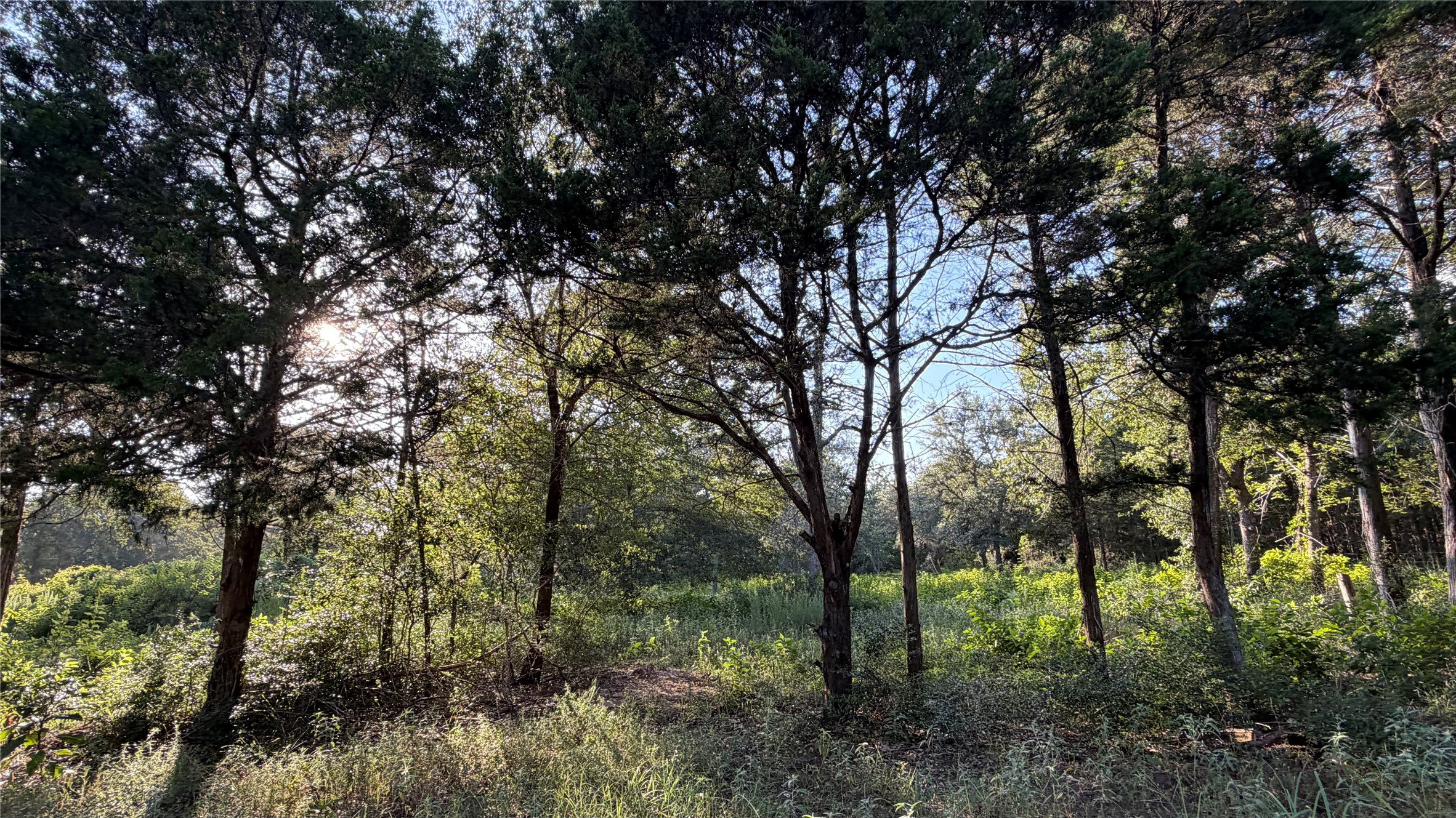 26011 Bernard Road Property Photo 25