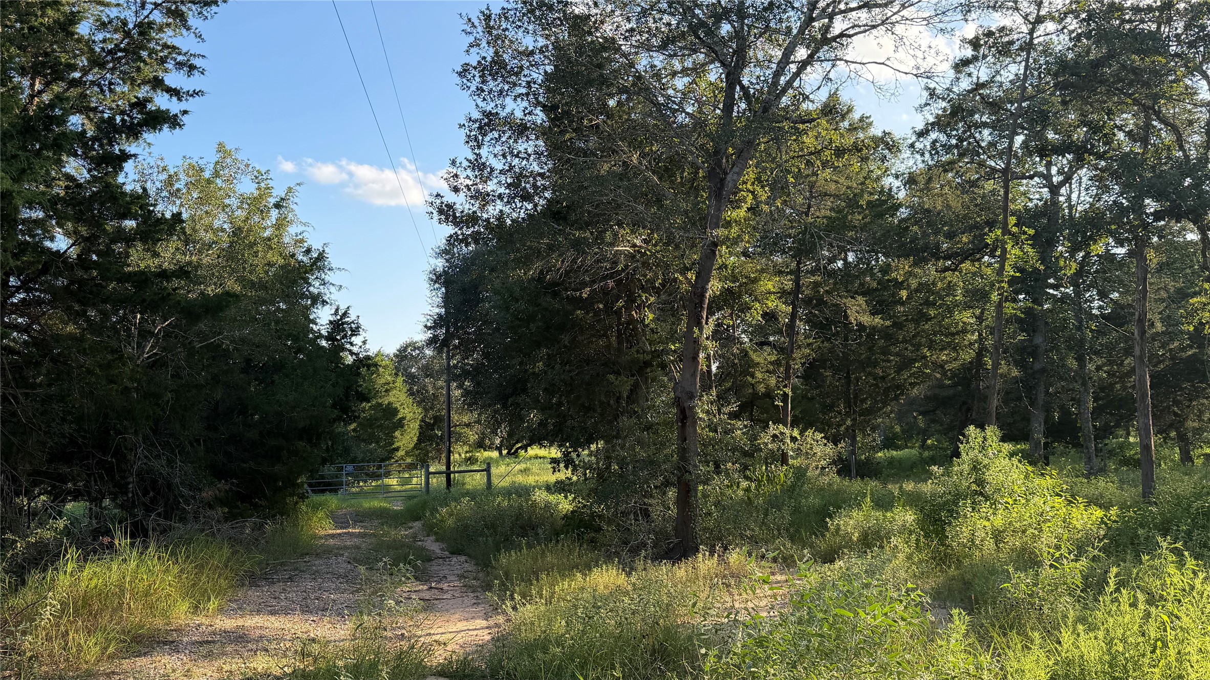 26011 Bernard Road Property Photo 26