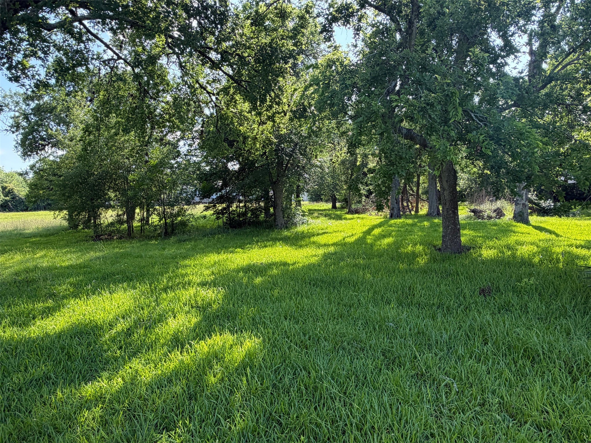 1551 W Texas Avenue Property Photo 1
