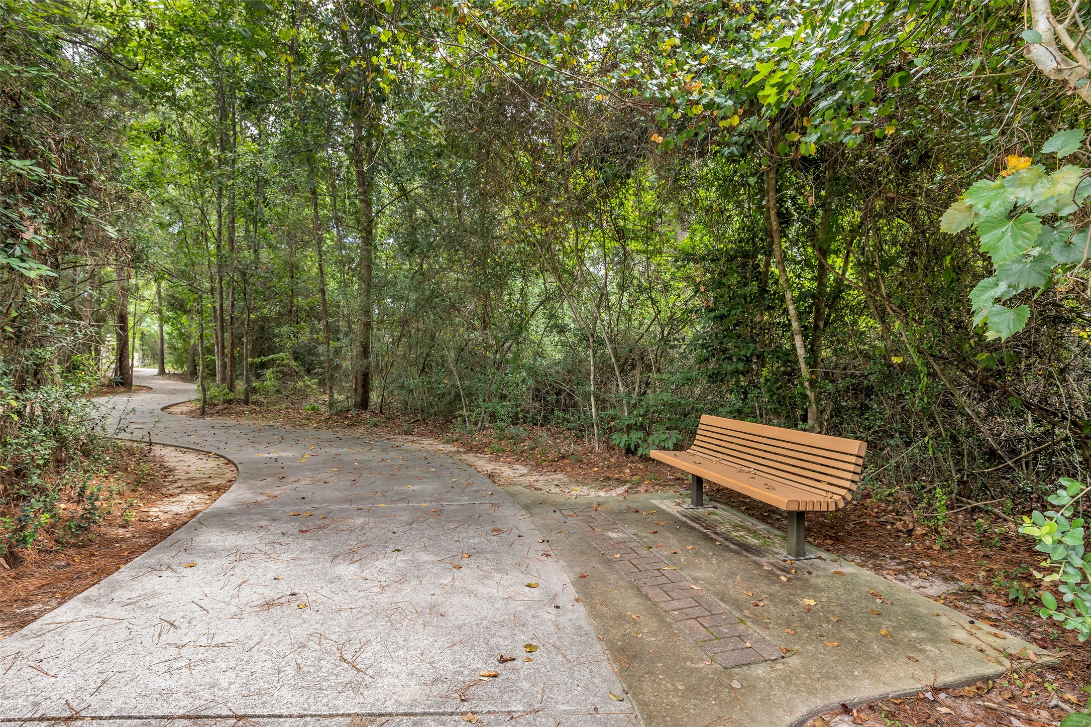 107 Kinderwood Trail Property Photo 41