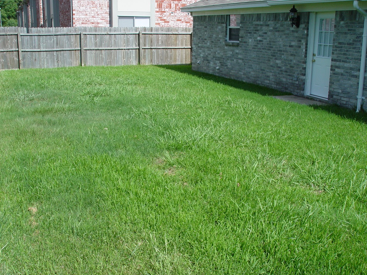 5314 Tallowpine Terrace Property Photo 30