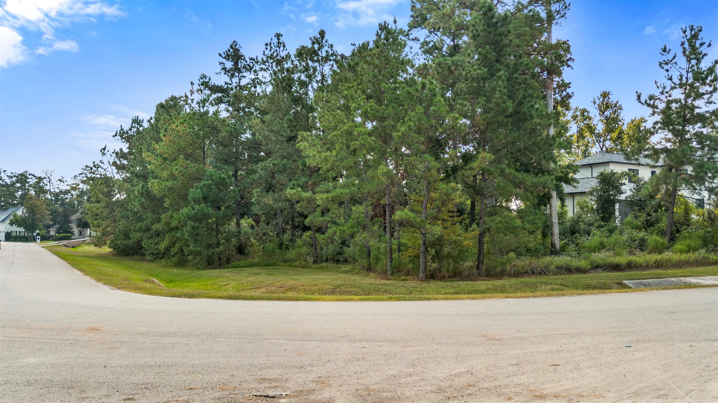 27919 Inspire Crest Lane Property Photo 3