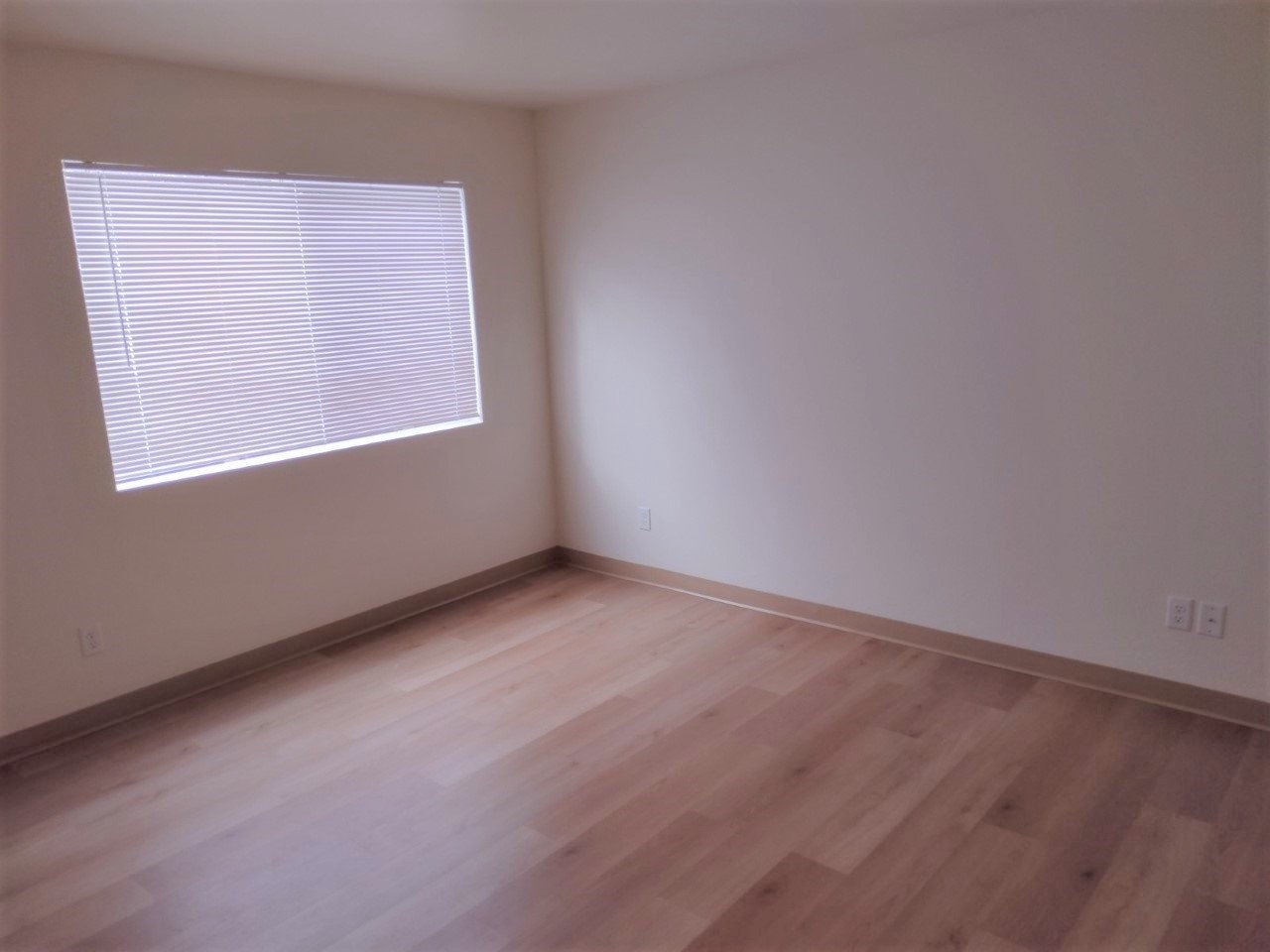 450 J St Property Photo 6