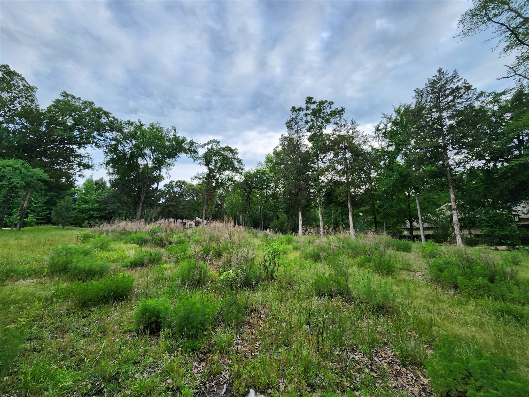 9042 Safari Bluff Property Photo 2