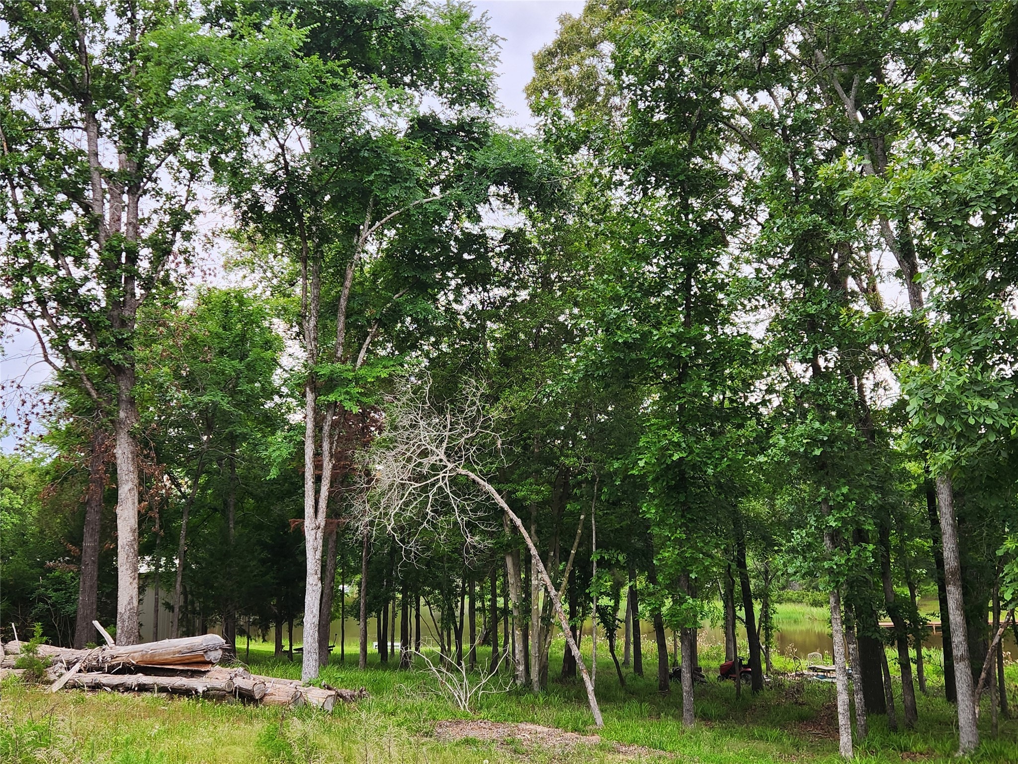 9042 Safari Bluff Property Photo 3