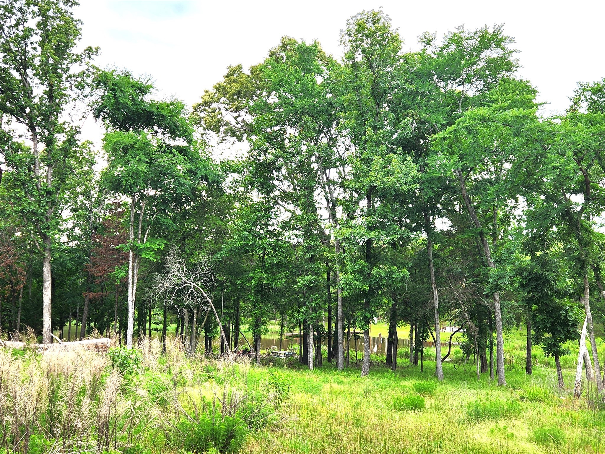 9042 Safari Bluff Property Photo 11