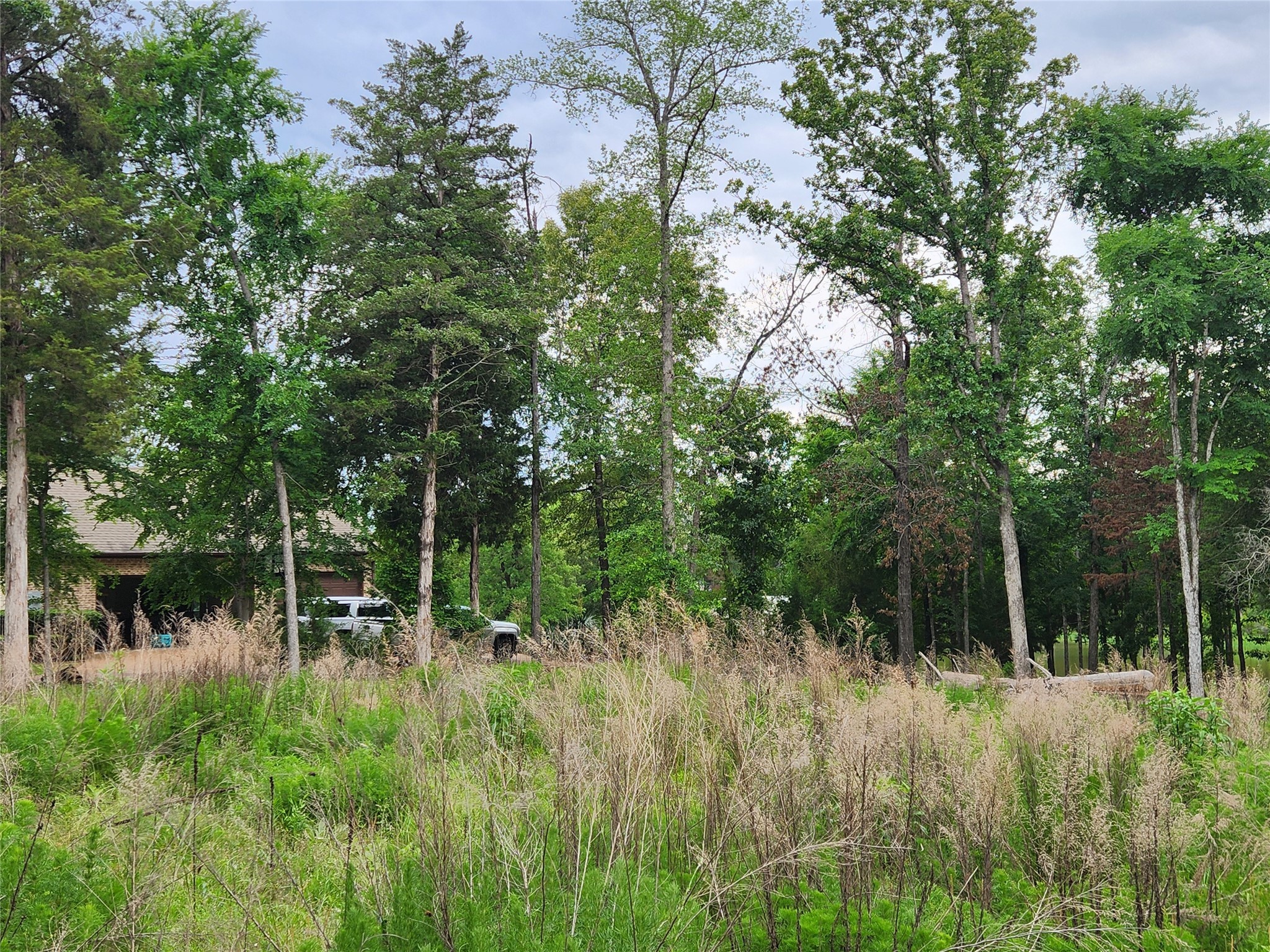 9042 Safari Bluff Property Photo 12
