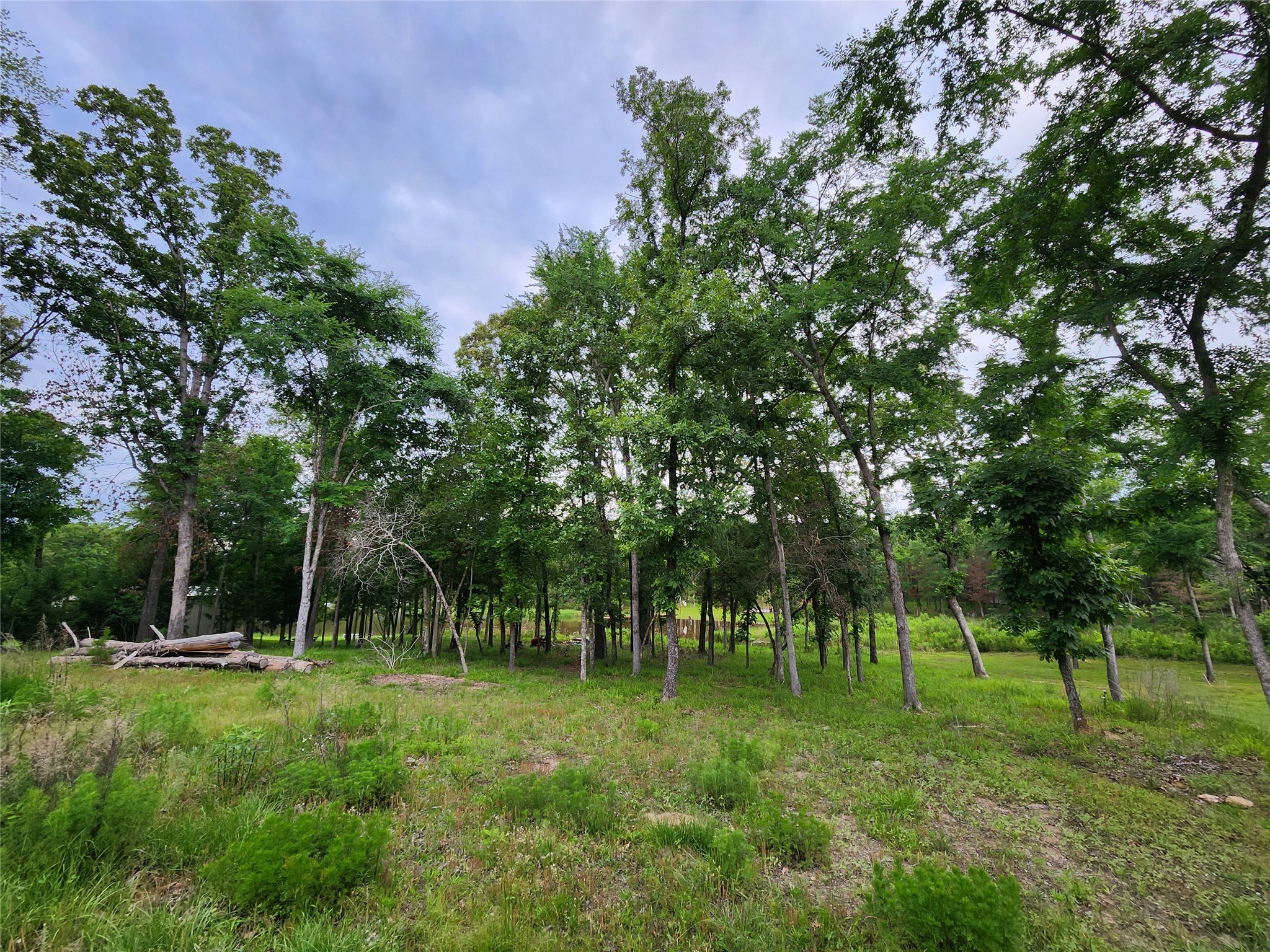 9042 Safari Bluff Property Photo 13