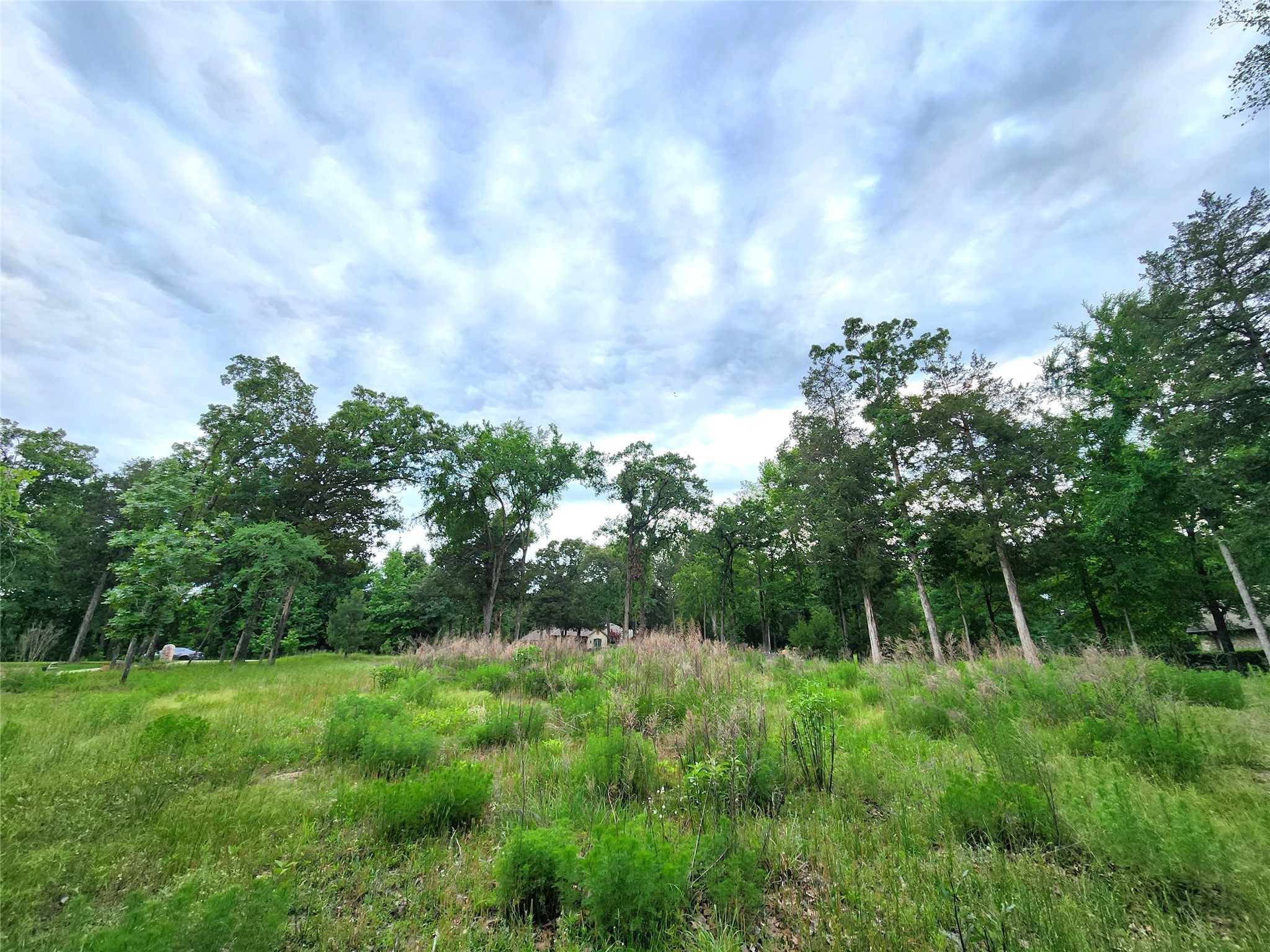 9042 Safari Bluff Property Photo 16