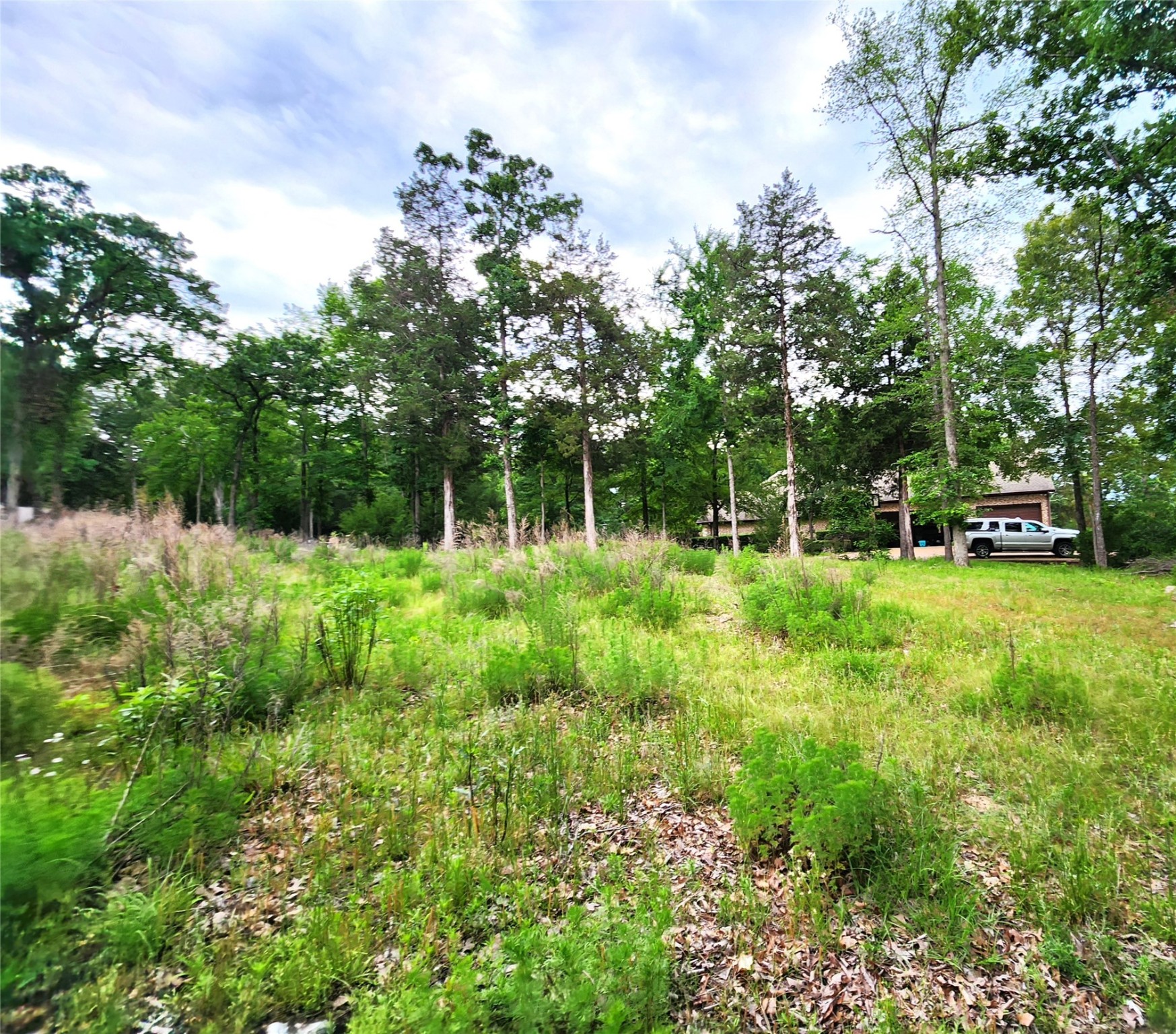9042 Safari Bluff Property Photo 18