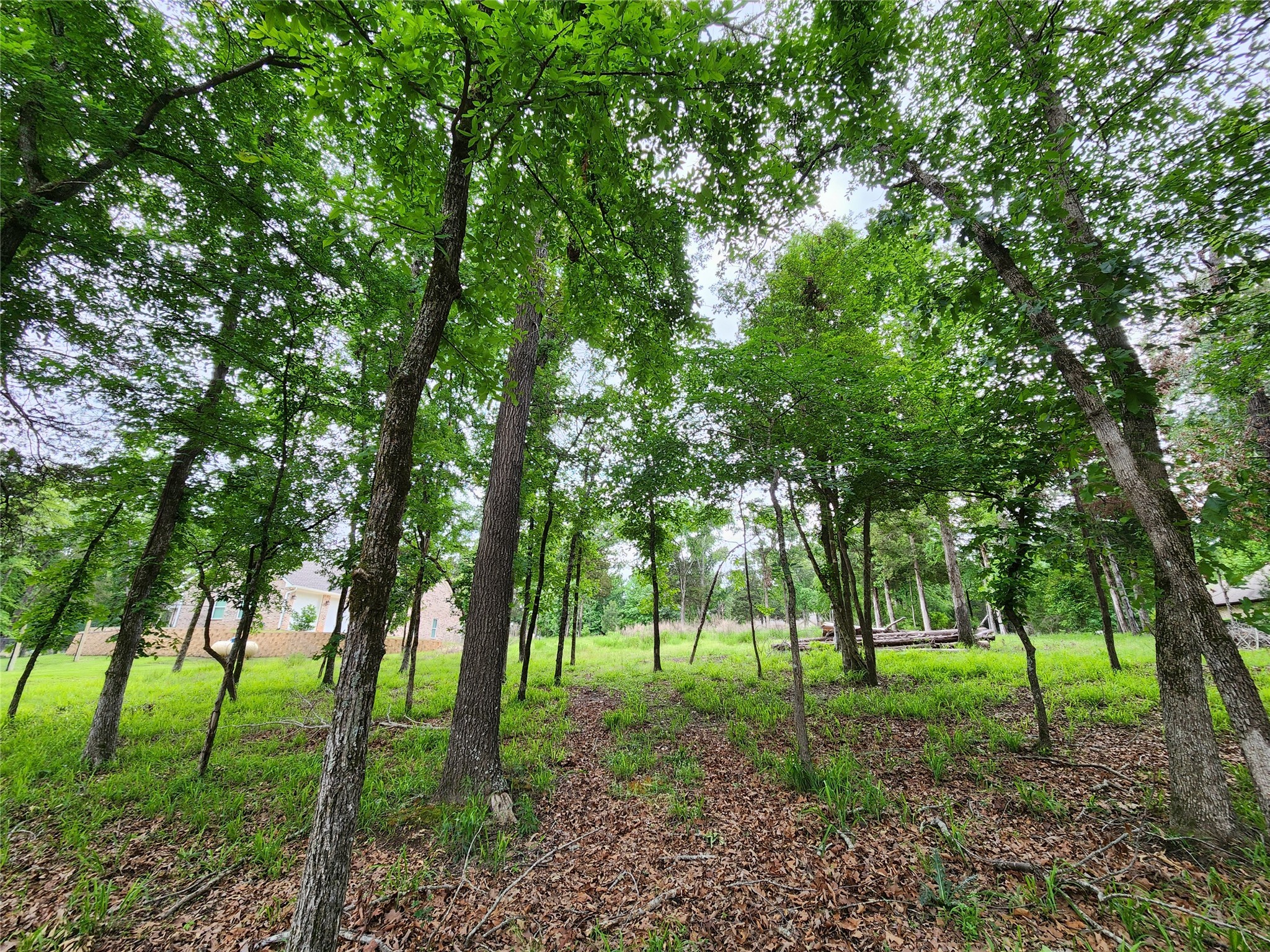 9042 Safari Bluff Property Photo 21