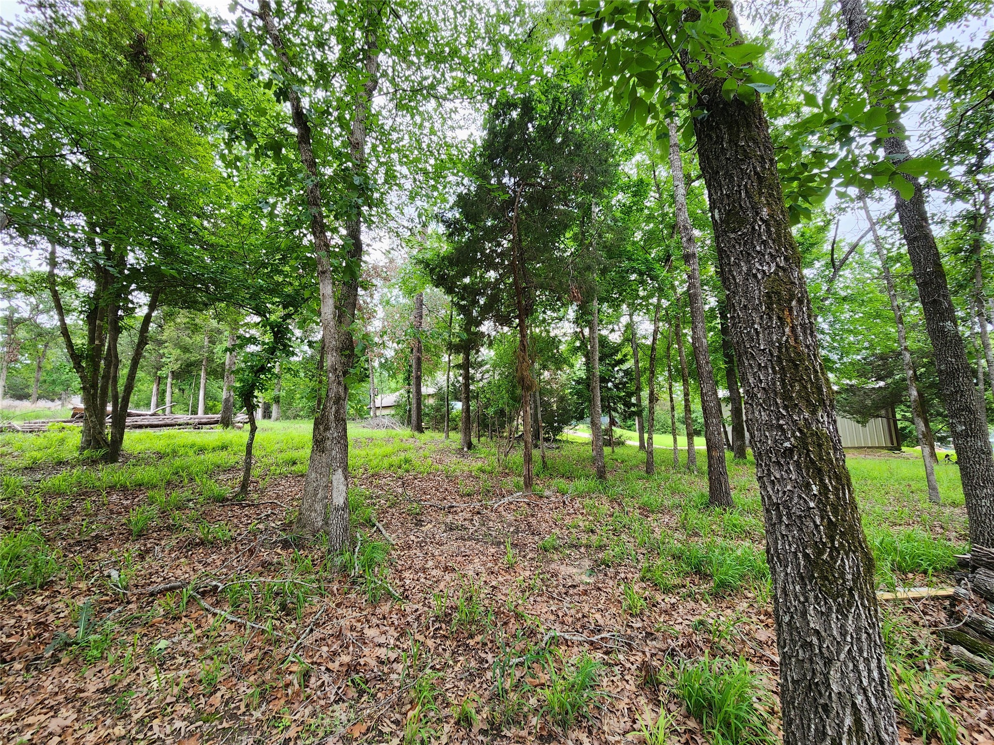 9042 Safari Bluff Property Photo 22