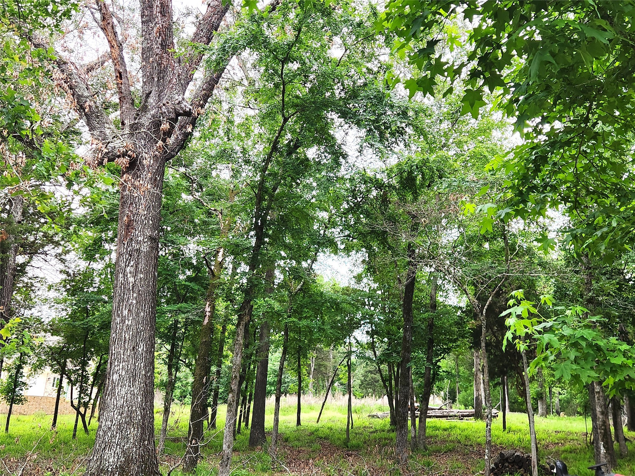 9042 Safari Bluff Property Photo 27