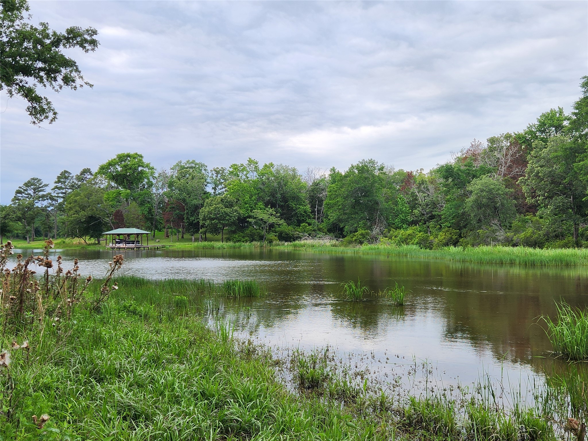 9042 Safari Bluff Property Photo 29