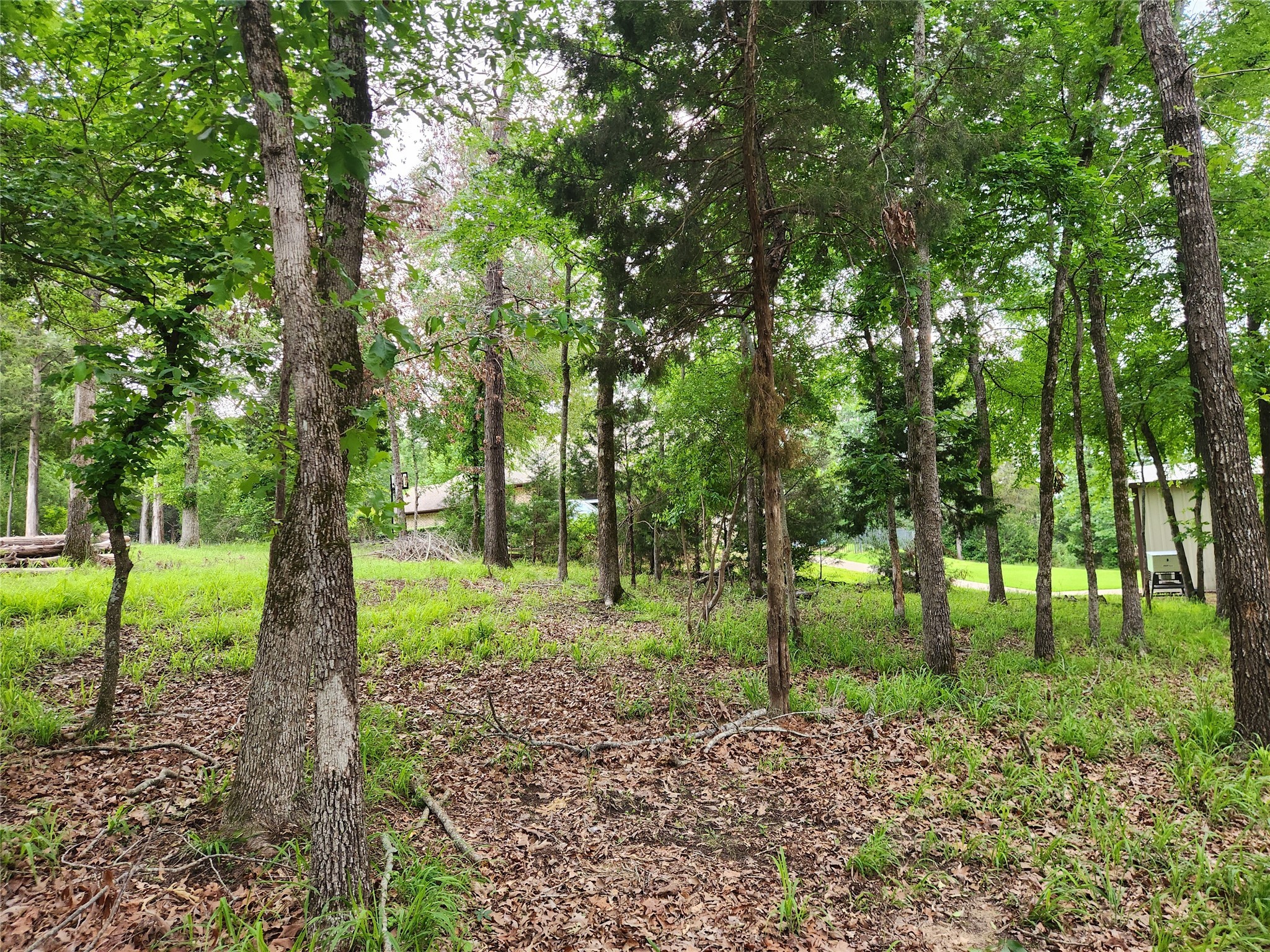9042 Safari Bluff Property Photo 30
