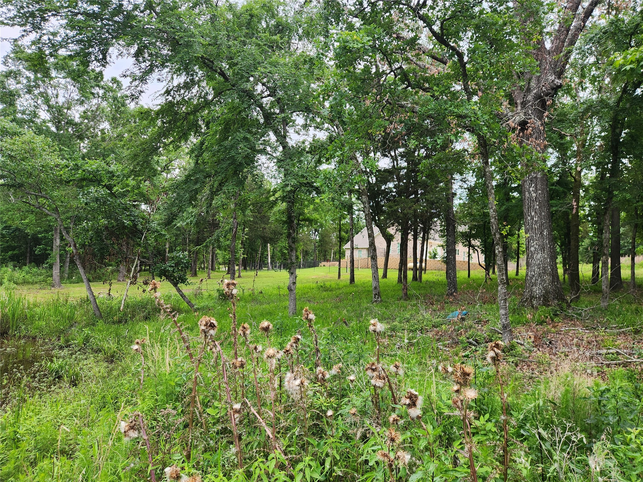 9042 Safari Bluff Property Photo 32