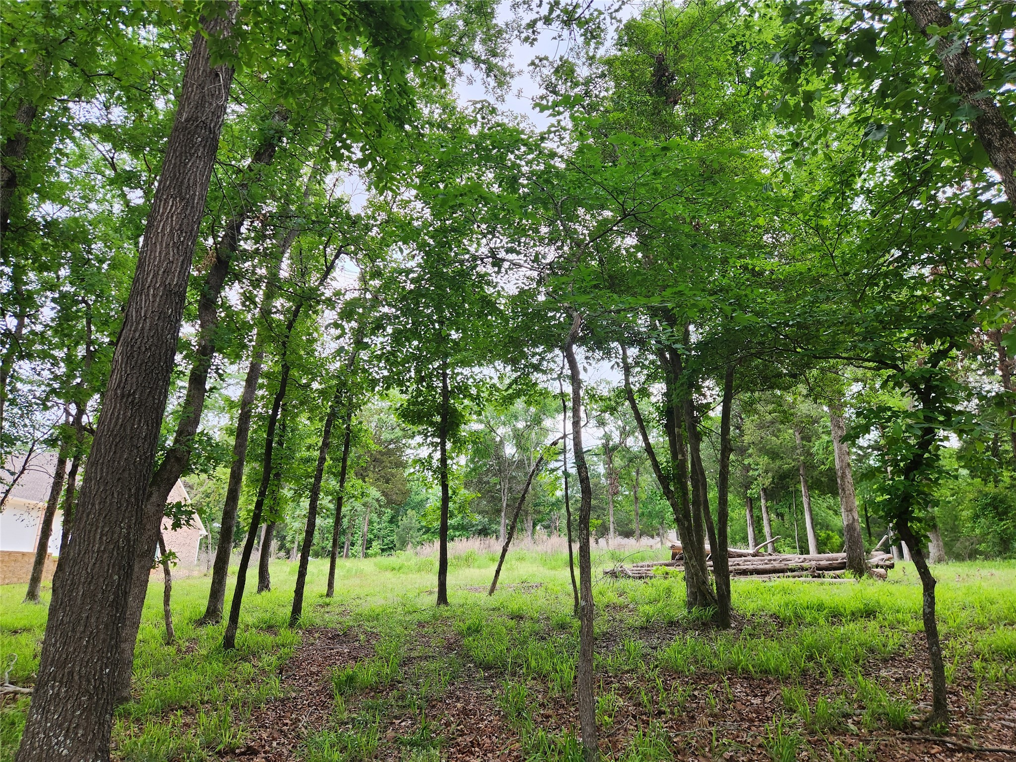 9042 Safari Bluff Property Photo 33