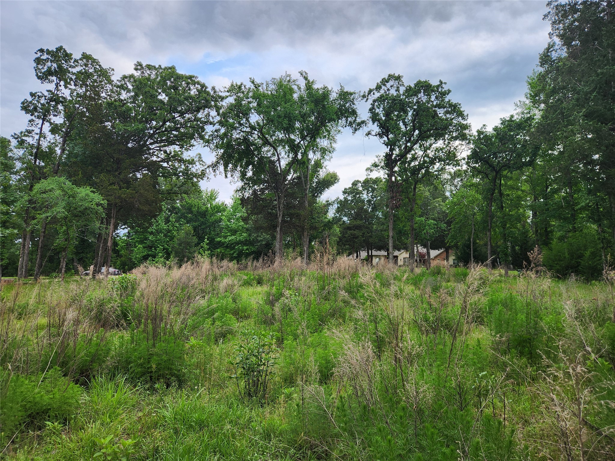 9042 Safari Bluff Property Photo 35