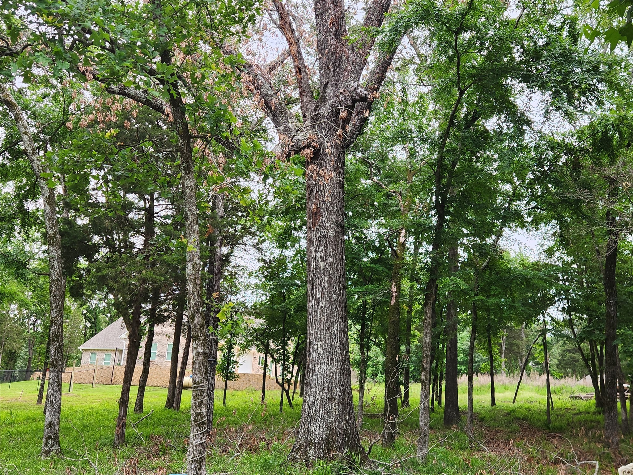 9042 Safari Bluff Property Photo 36