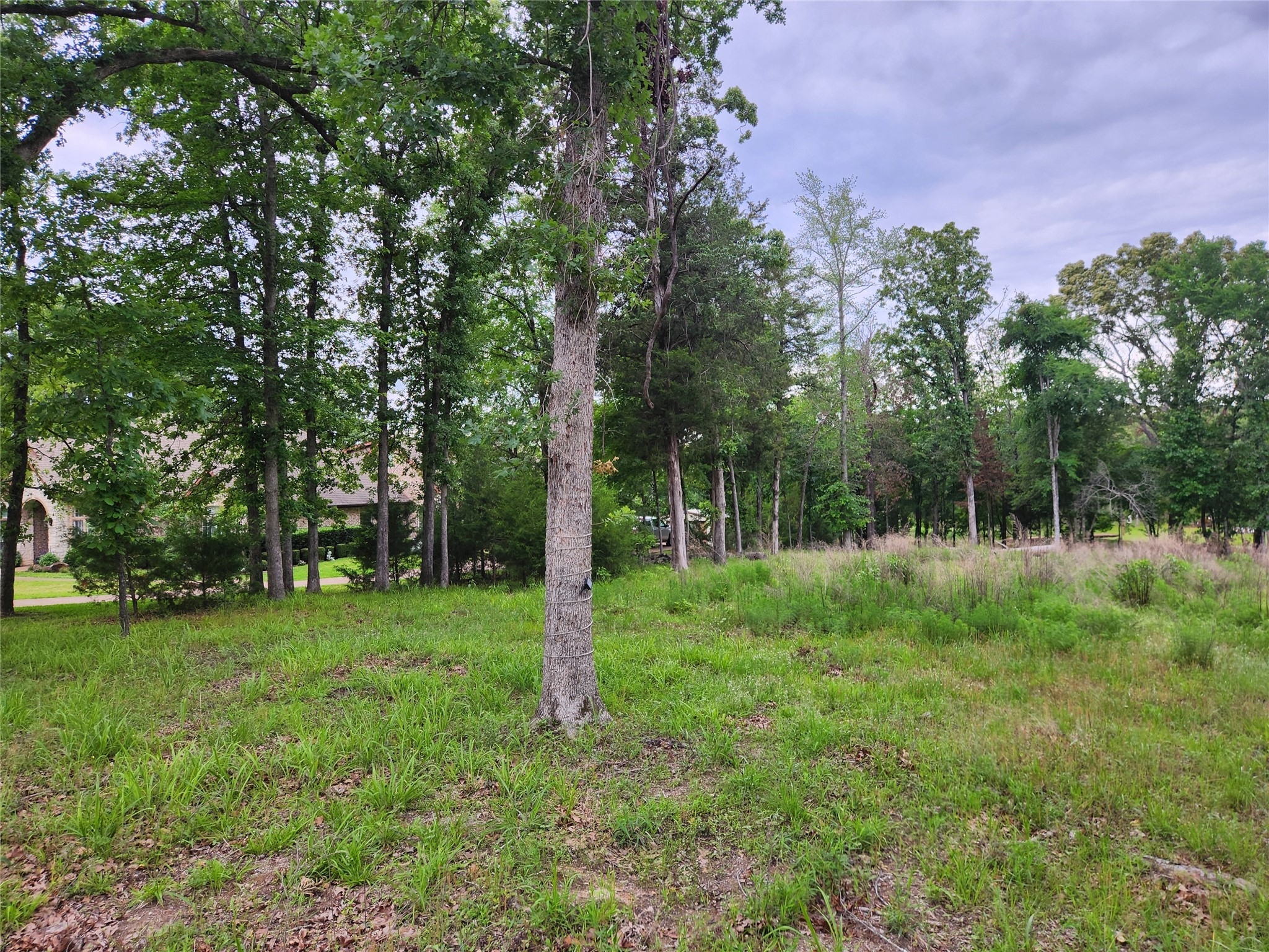 9042 Safari Bluff Property Photo 37