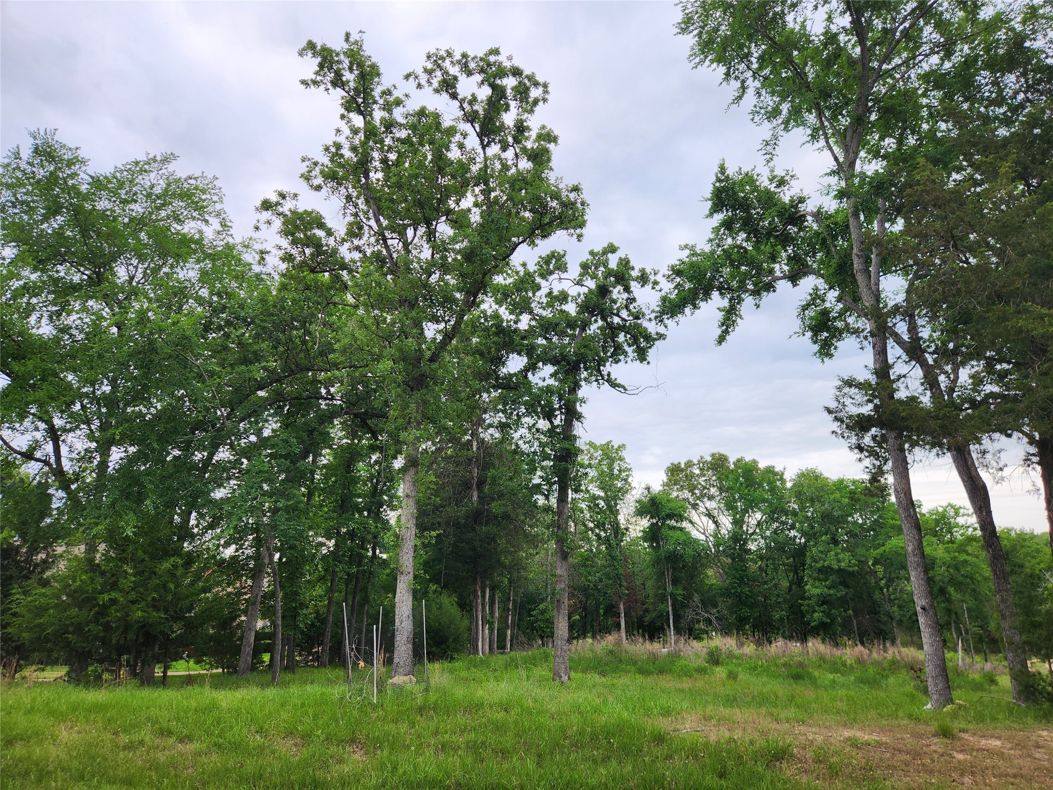 9042 Safari Bluff Property Photo 41