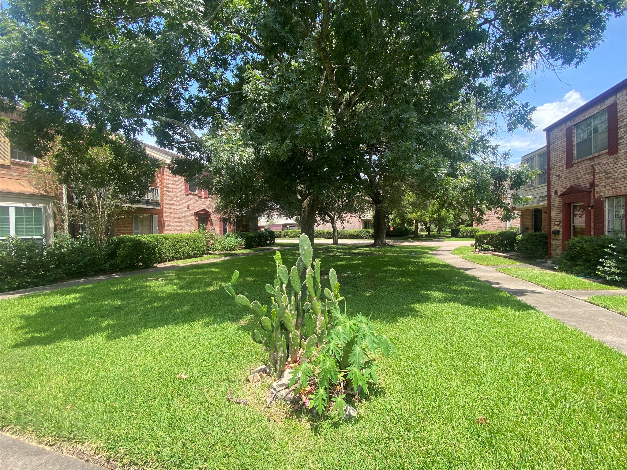 7913 Grove Ridge Drive Property Photo 4