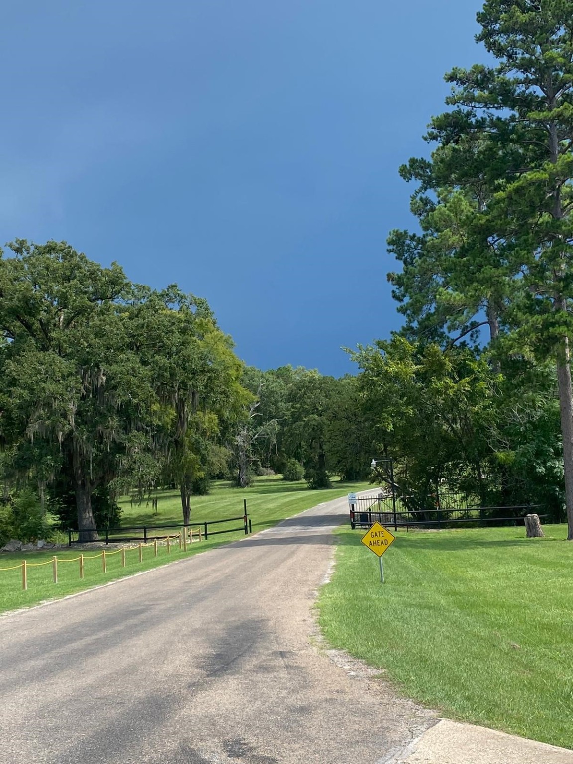 Lot 3 Tara Drive Property Photo 7