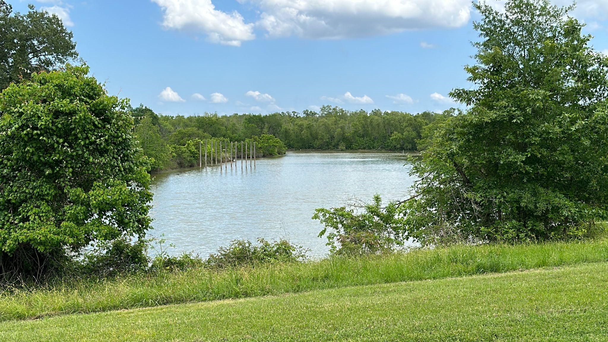 Lot 3 Tara Drive Property Photo 10