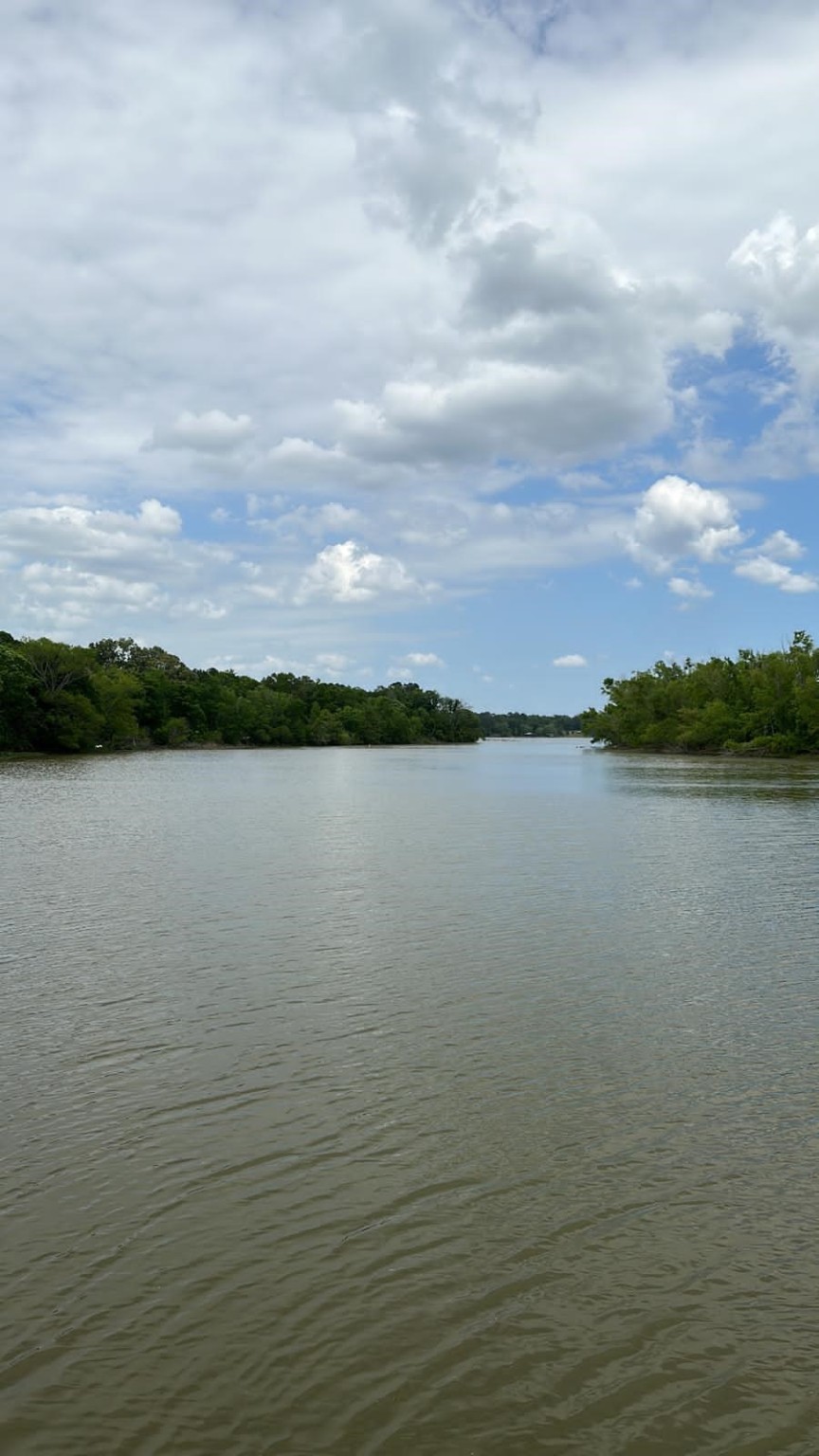 Lot 3 Tara Drive Property Photo 11