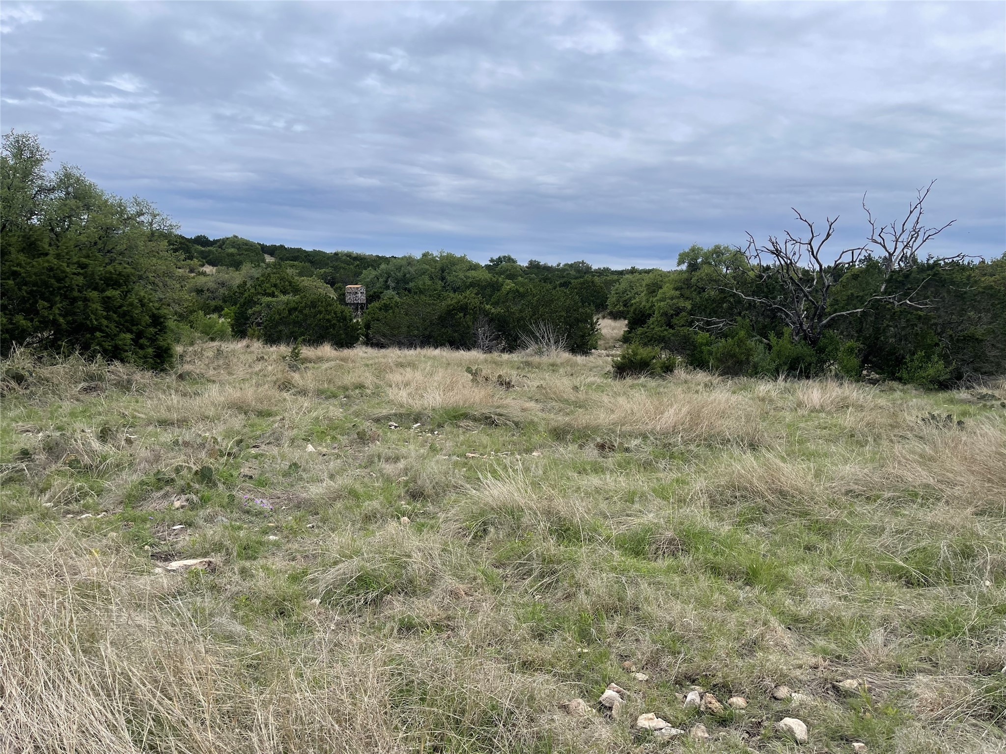 41 Tx Hwy 41 Property Photo 18