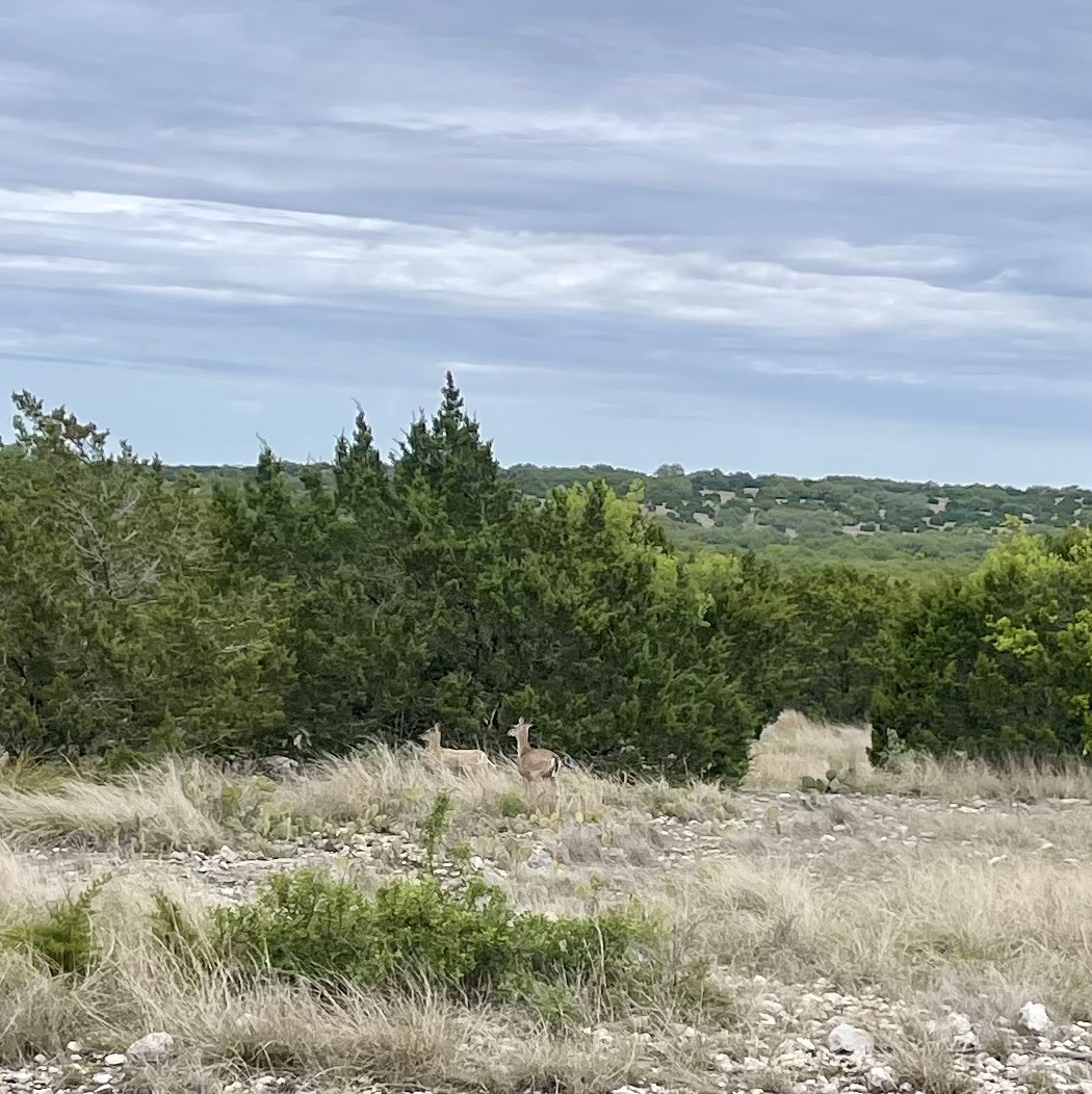 41 Tx Hwy 41 Property Photo 35