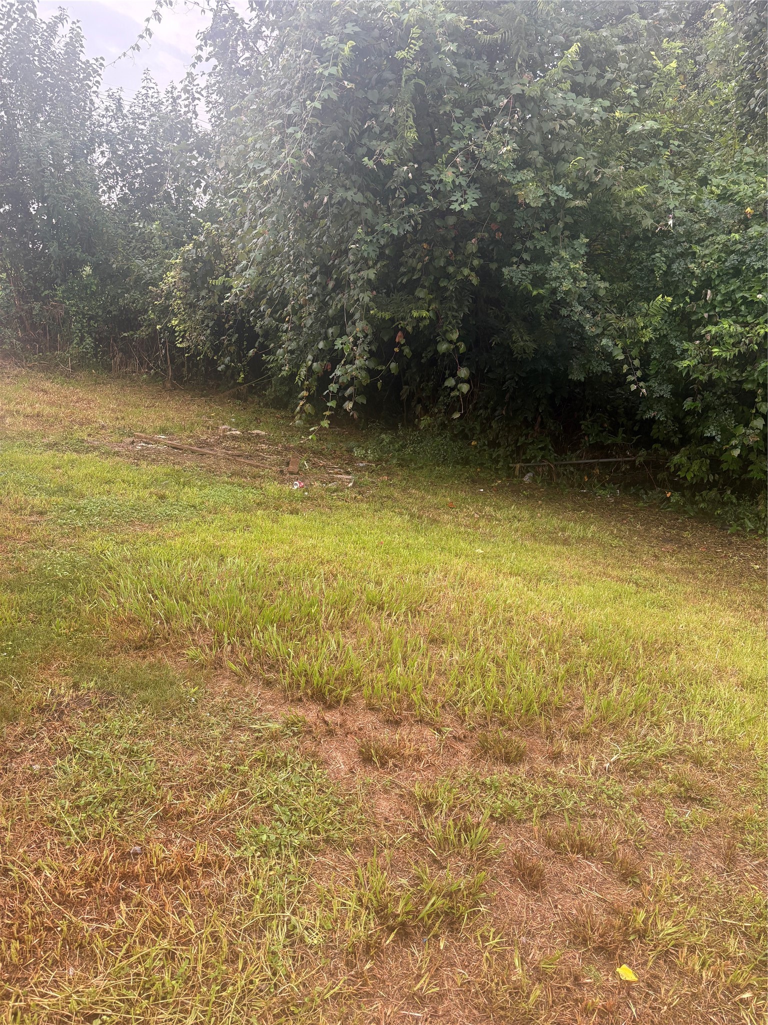 1006 2nd Street Property Photo 6