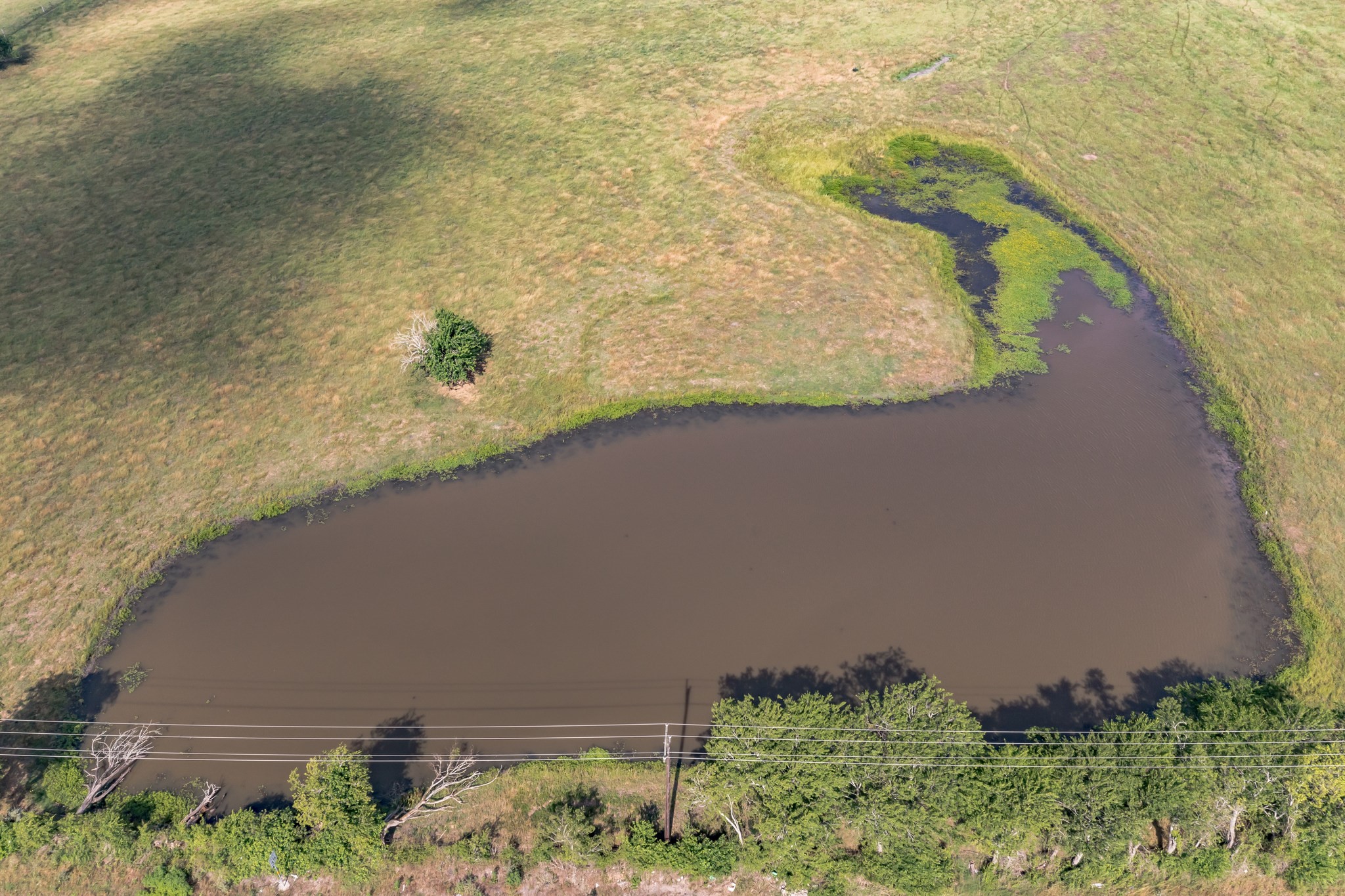 Tbd Fm 155 Property Photo 8