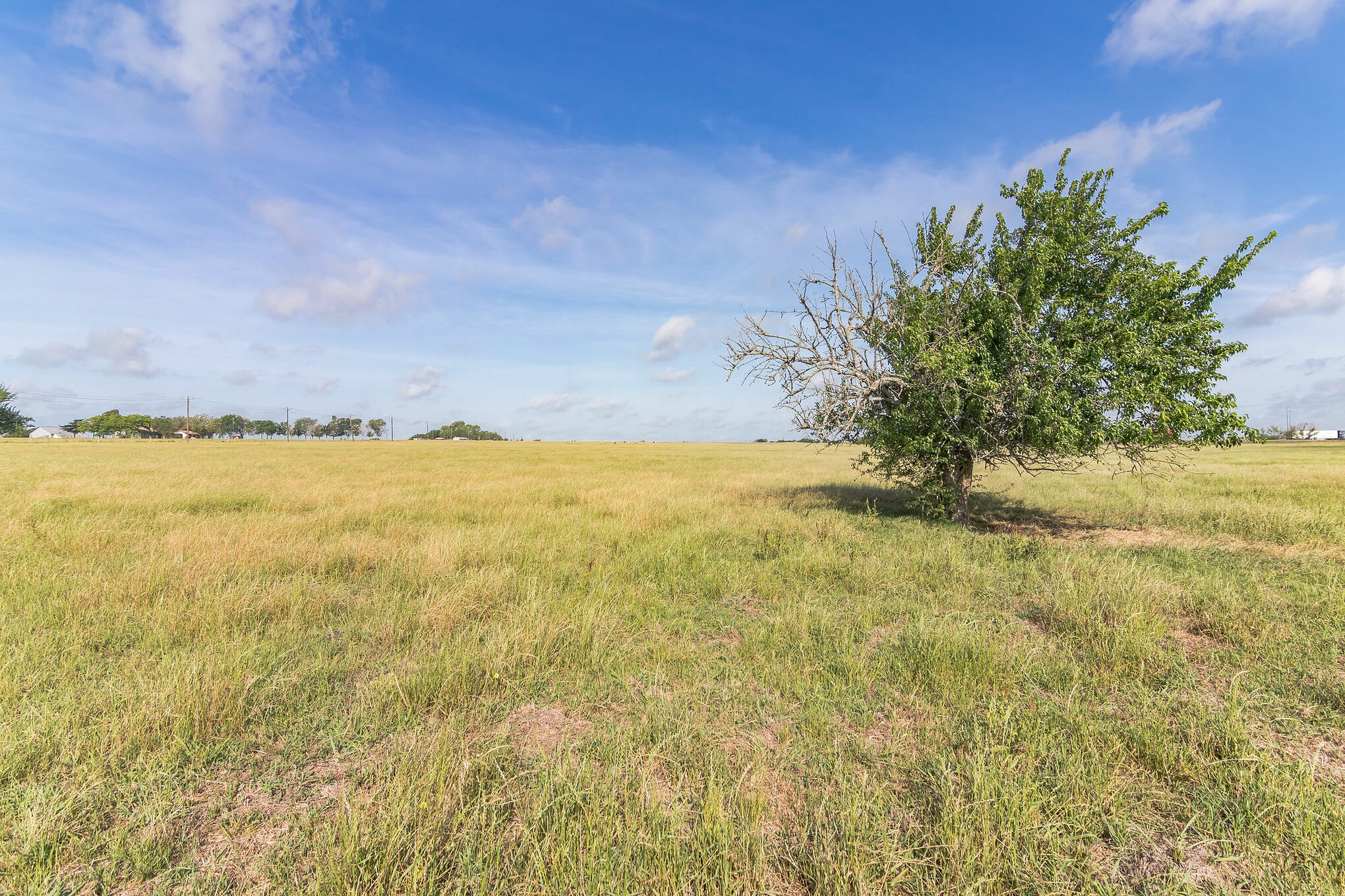 Tbd Fm 155 Property Photo 12