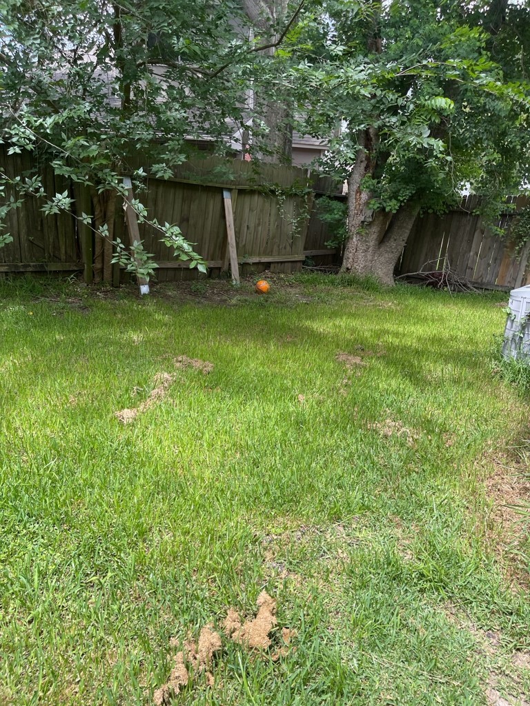 3902 Bennington Street Property Photo 14
