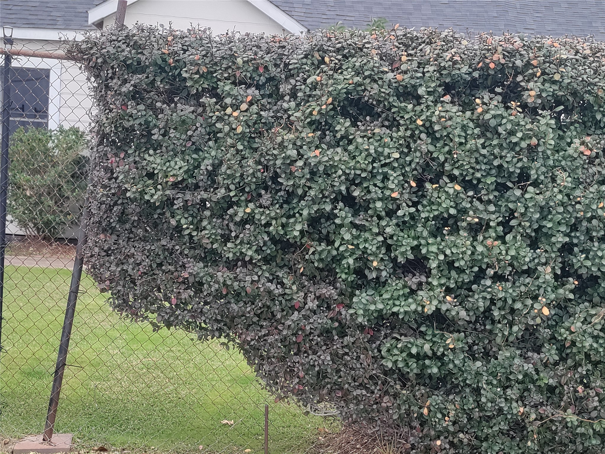 2816 Black Street Property Photo 2